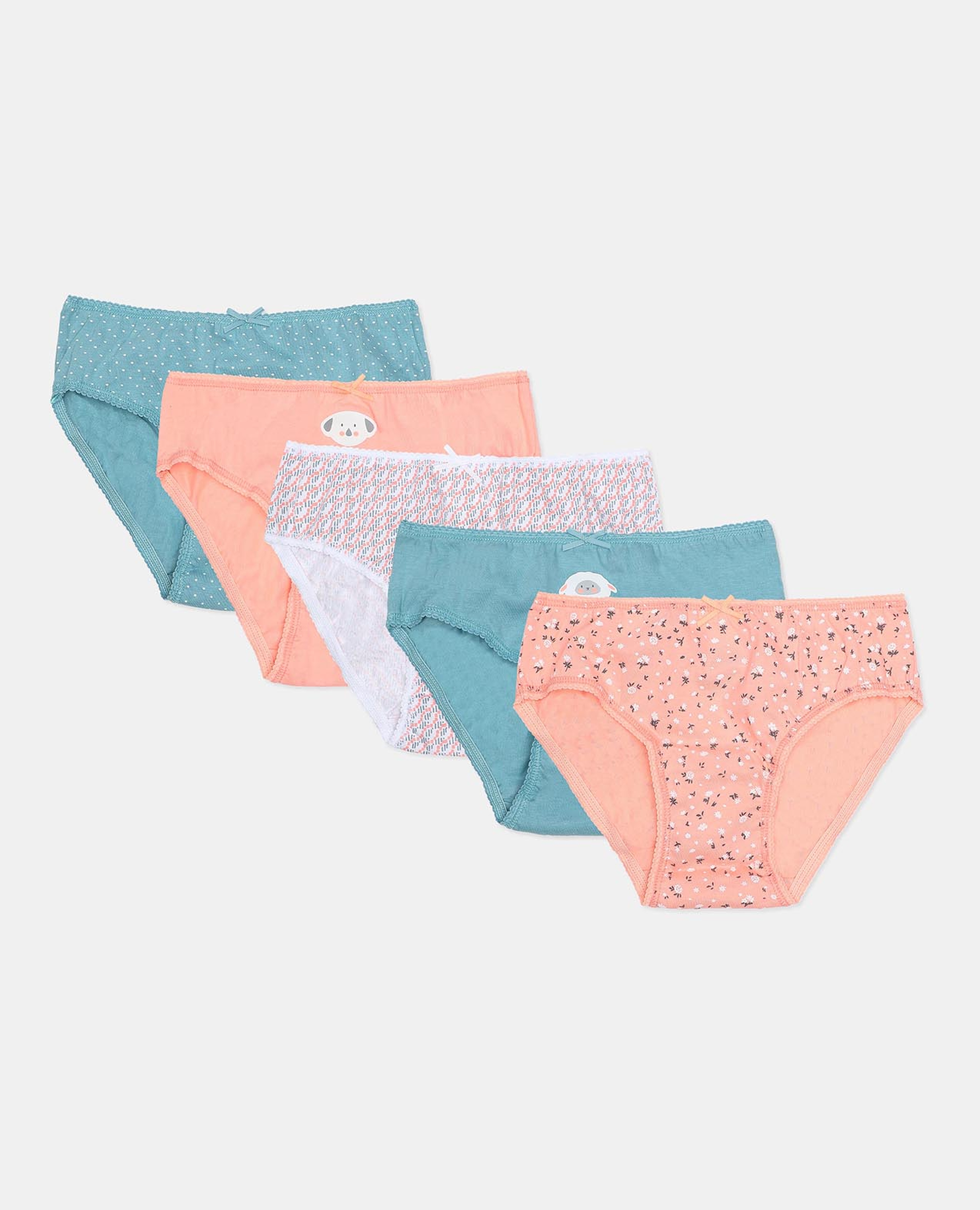 Pack of 5 Hipster Briefs