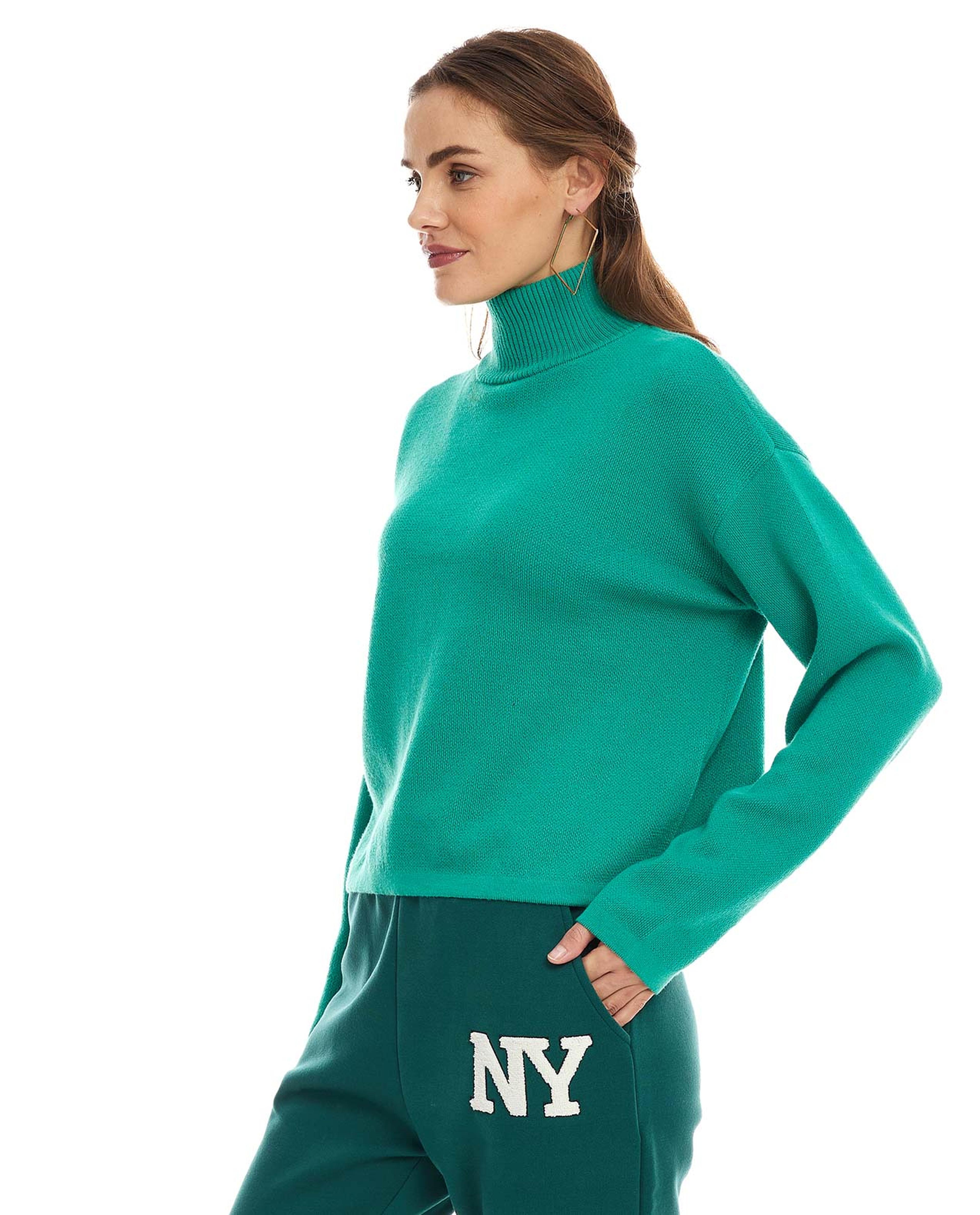 Solid Sweater with High Neck and Long Sleeves