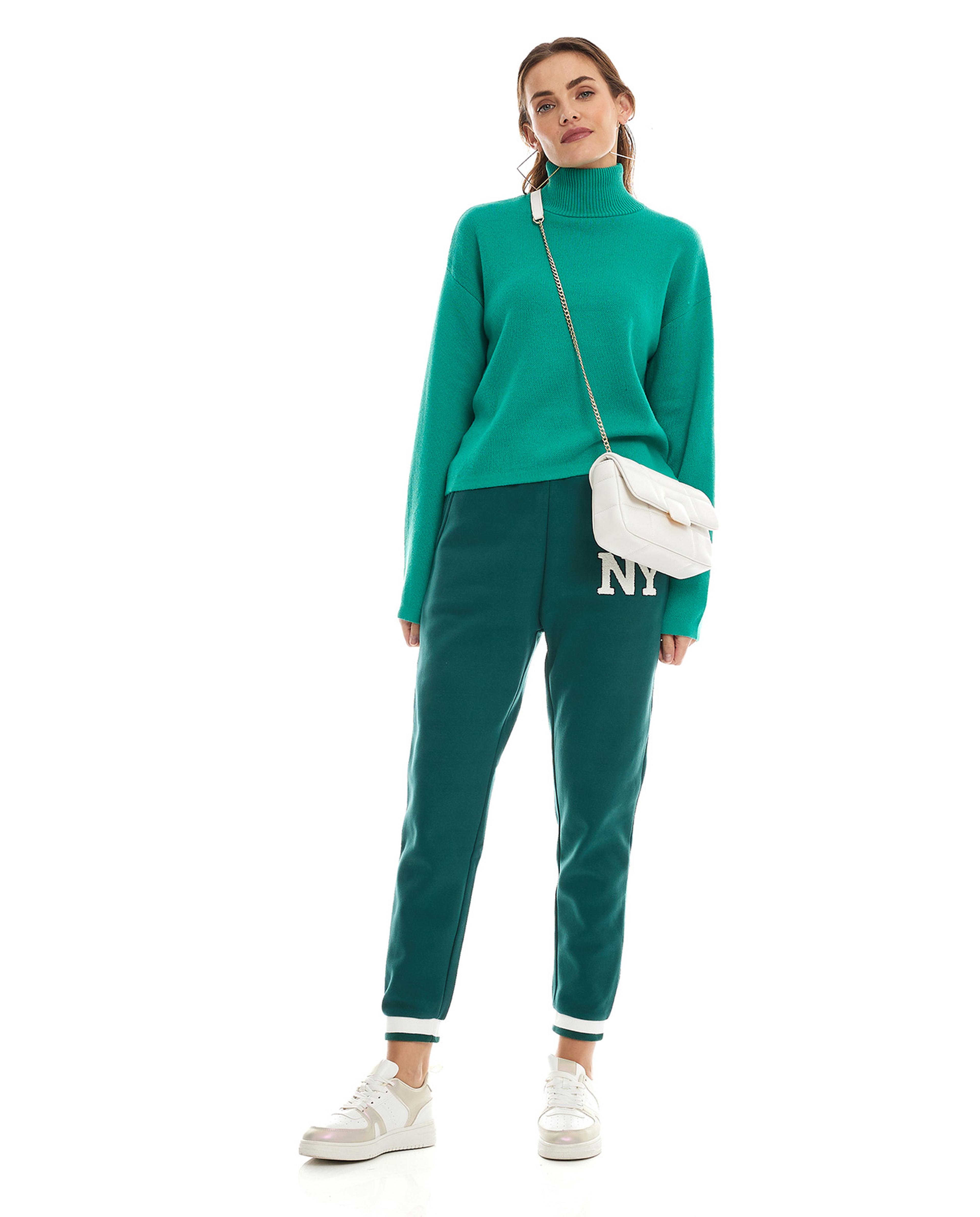 Solid Sweater with High Neck and Long Sleeves