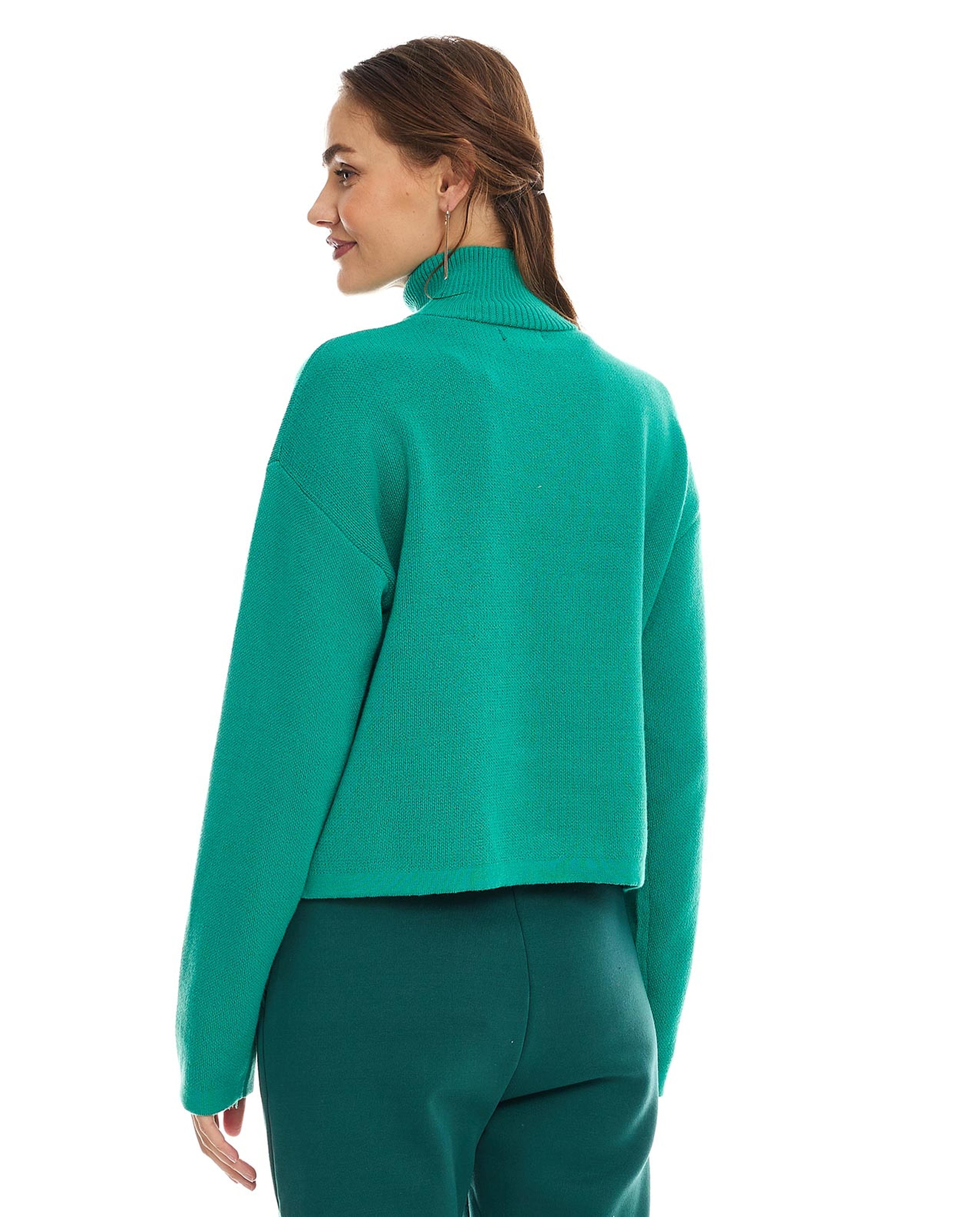 Solid Sweater with High Neck and Long Sleeves