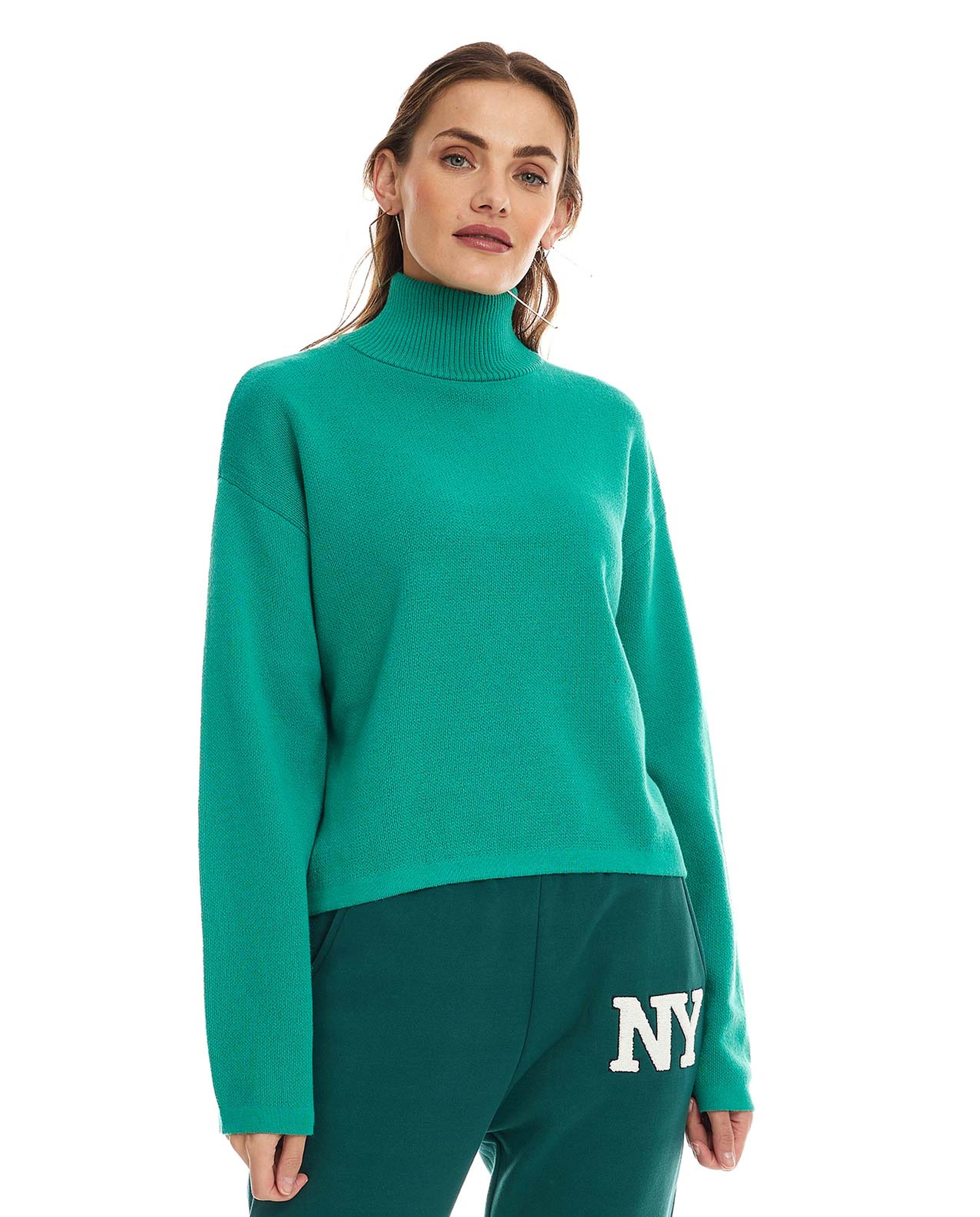 Solid Sweater with High Neck and Long Sleeves
