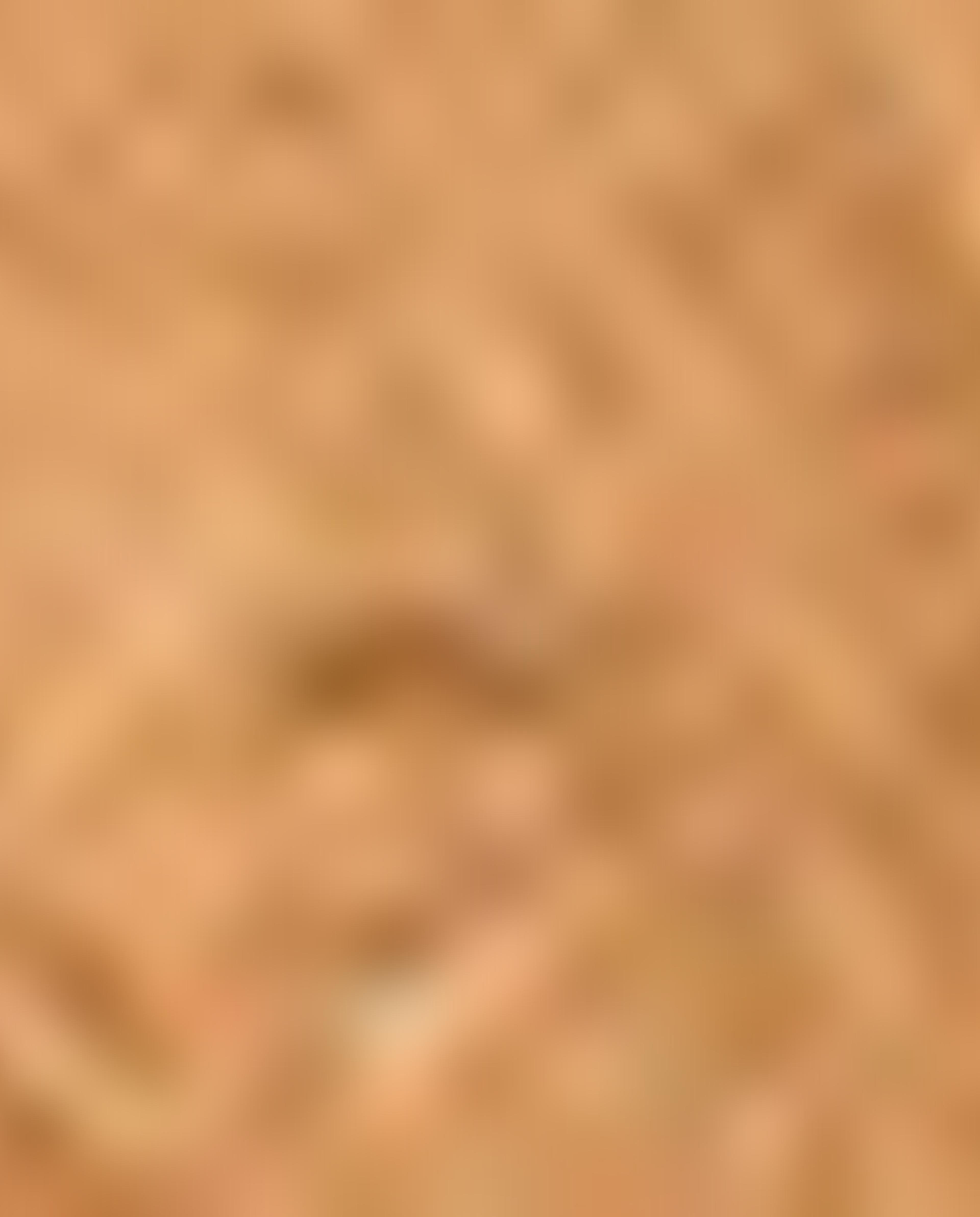 حقيبة مستحضرات تجميل - بني