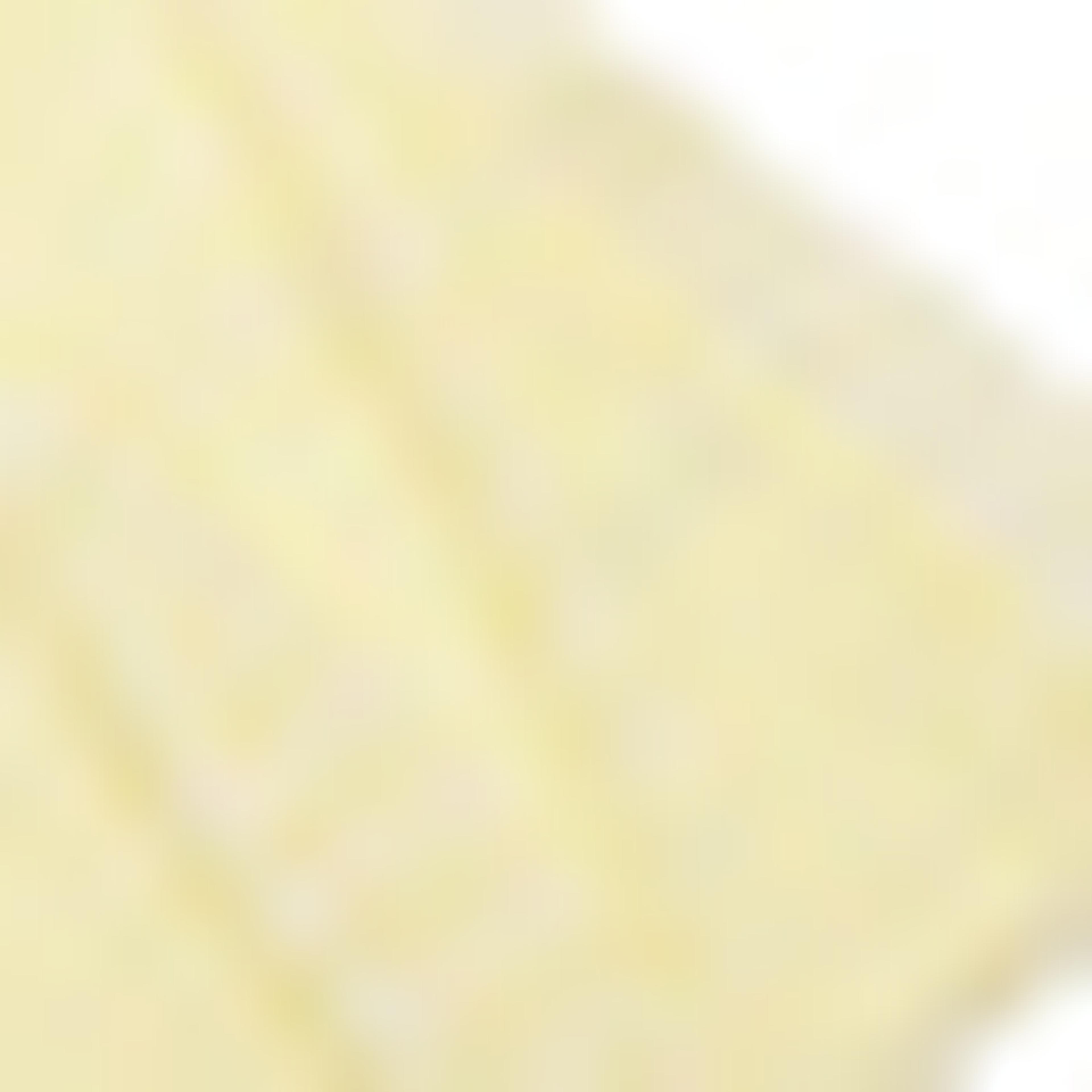 فستان مطرز بياقة دائرية وأكمام كاب