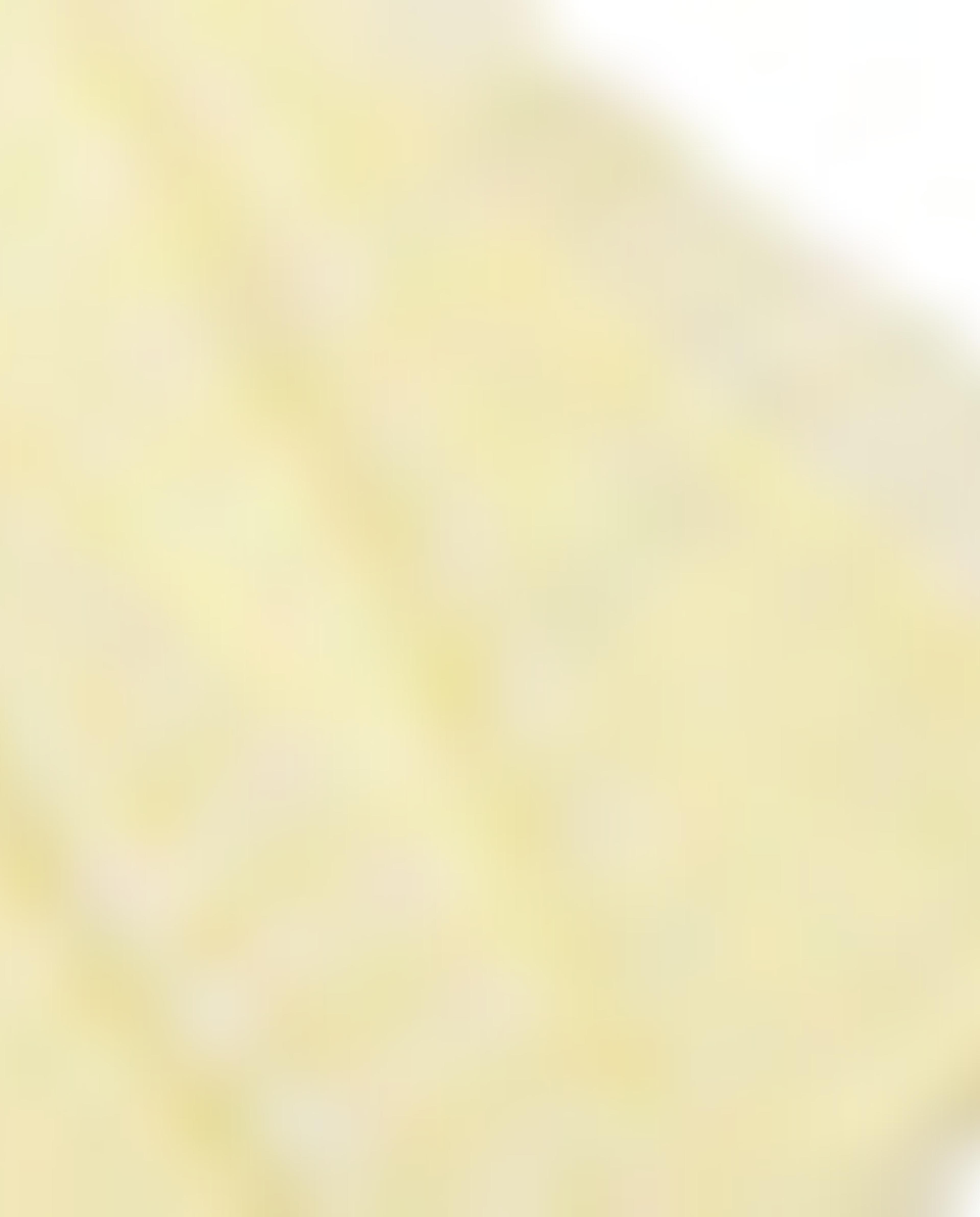 فستان مطرز بياقة دائرية وأكمام كاب