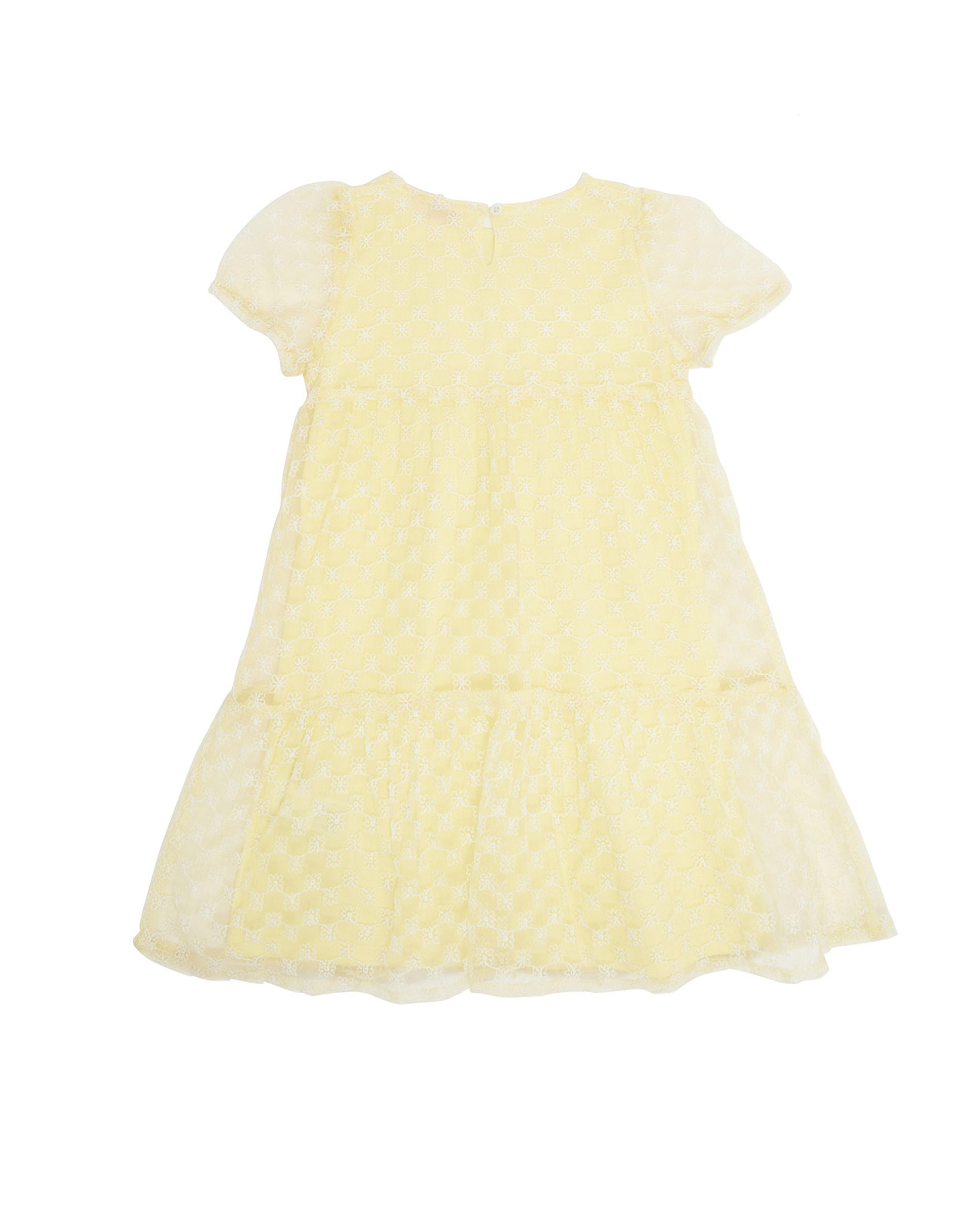 فستان مطرز بياقة دائرية وأكمام كاب