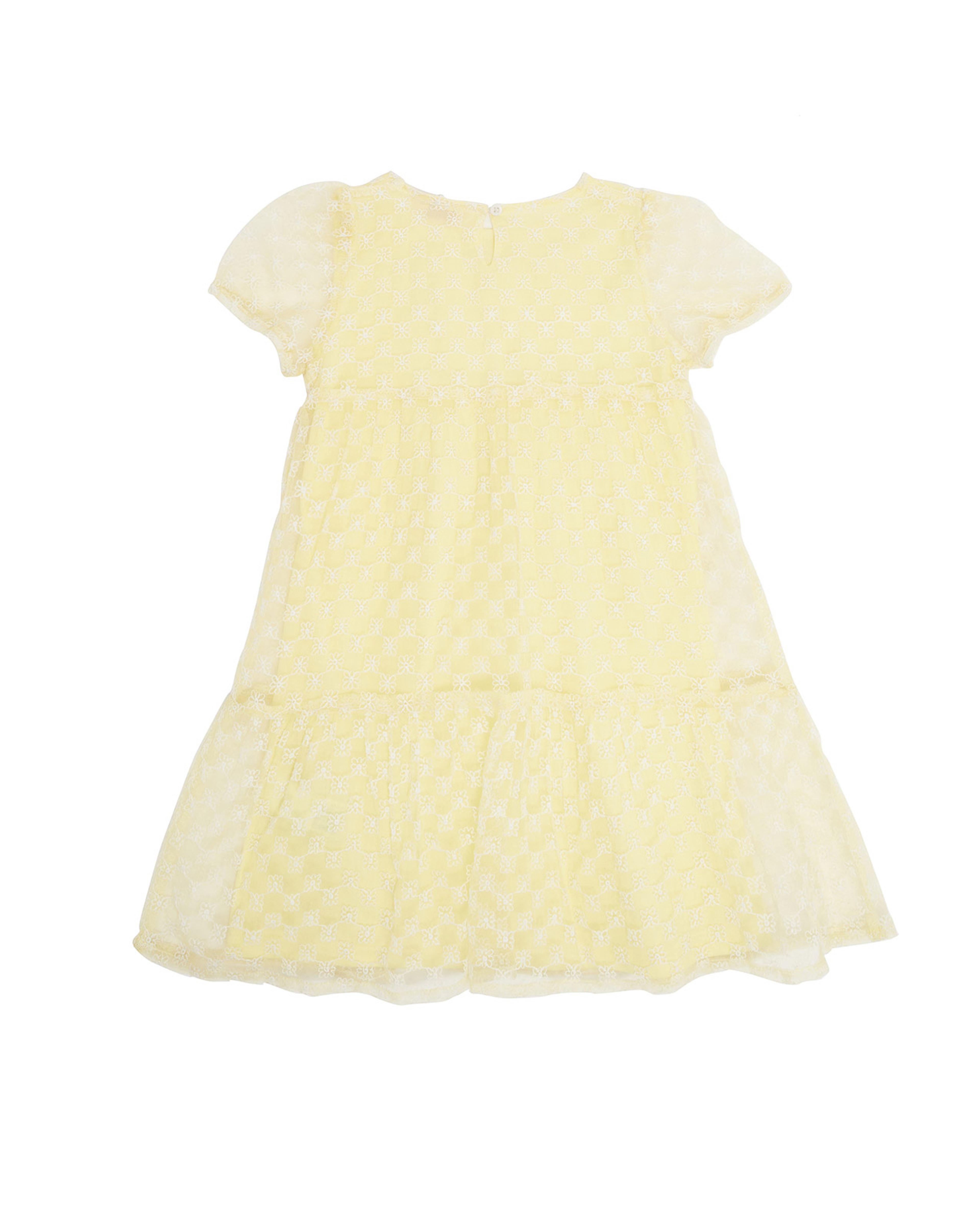 فستان مطرز بياقة دائرية وأكمام كاب