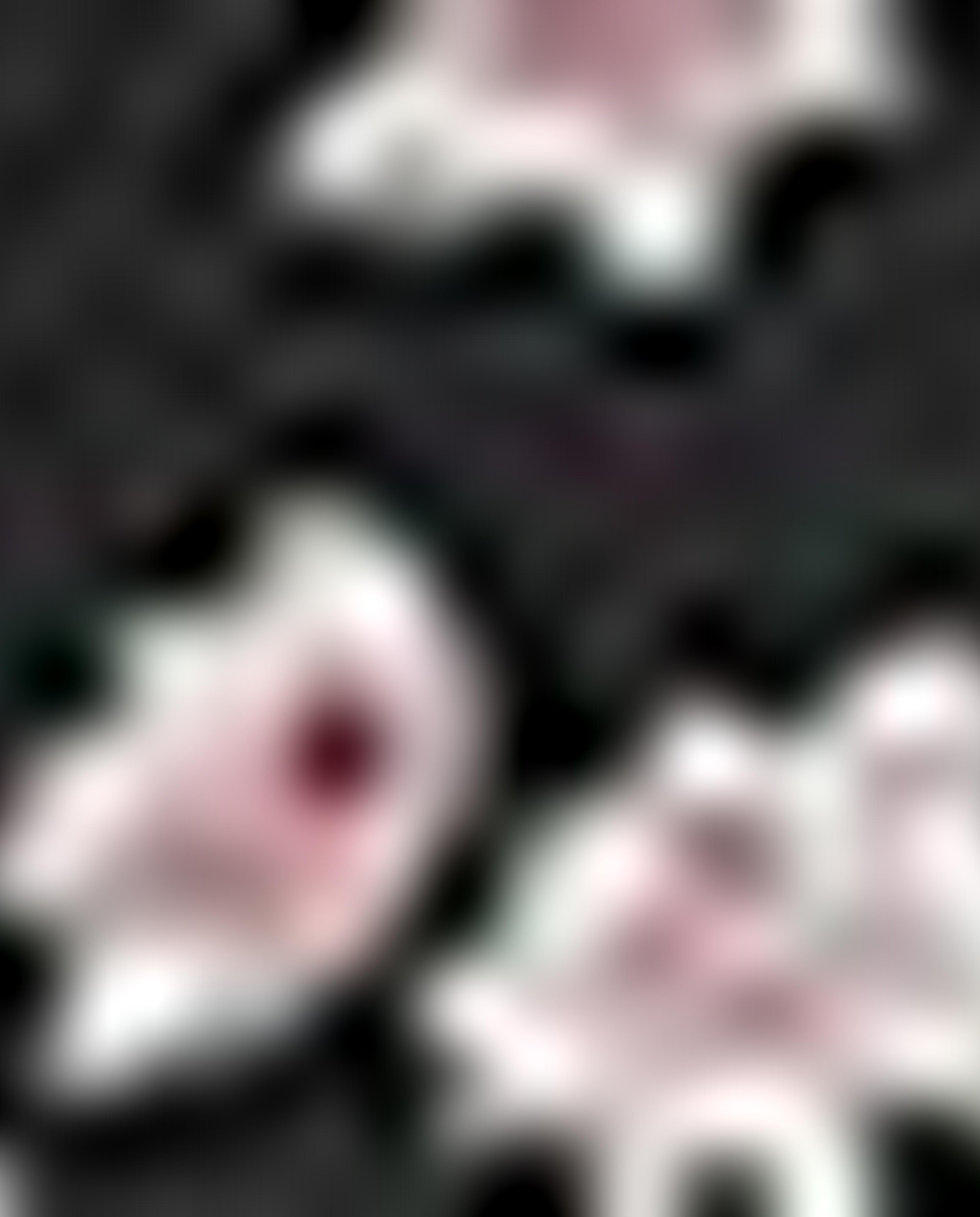 وشاح رأس بطبعة