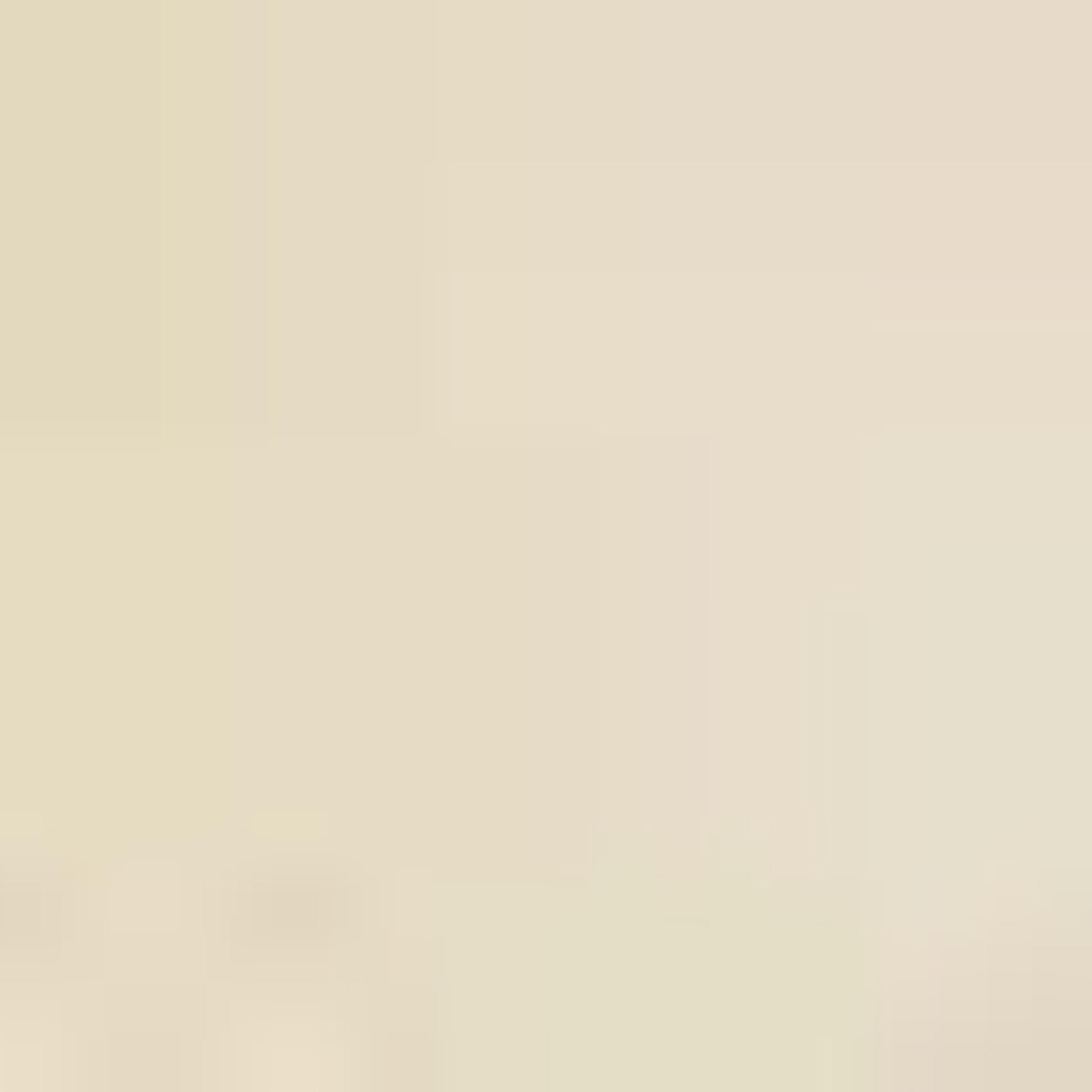 شبشب بسير مزدوج