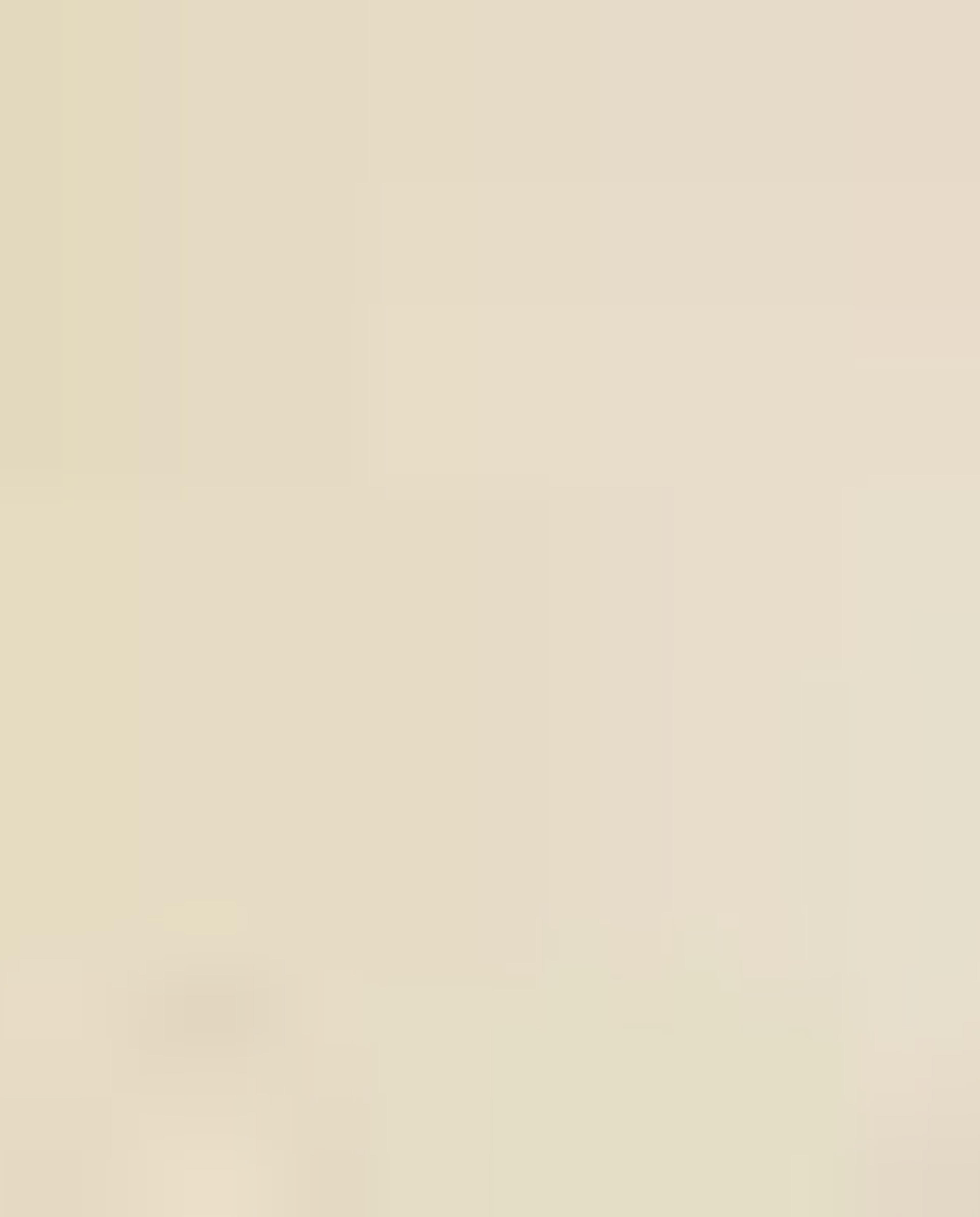 شبشب بسير مزدوج