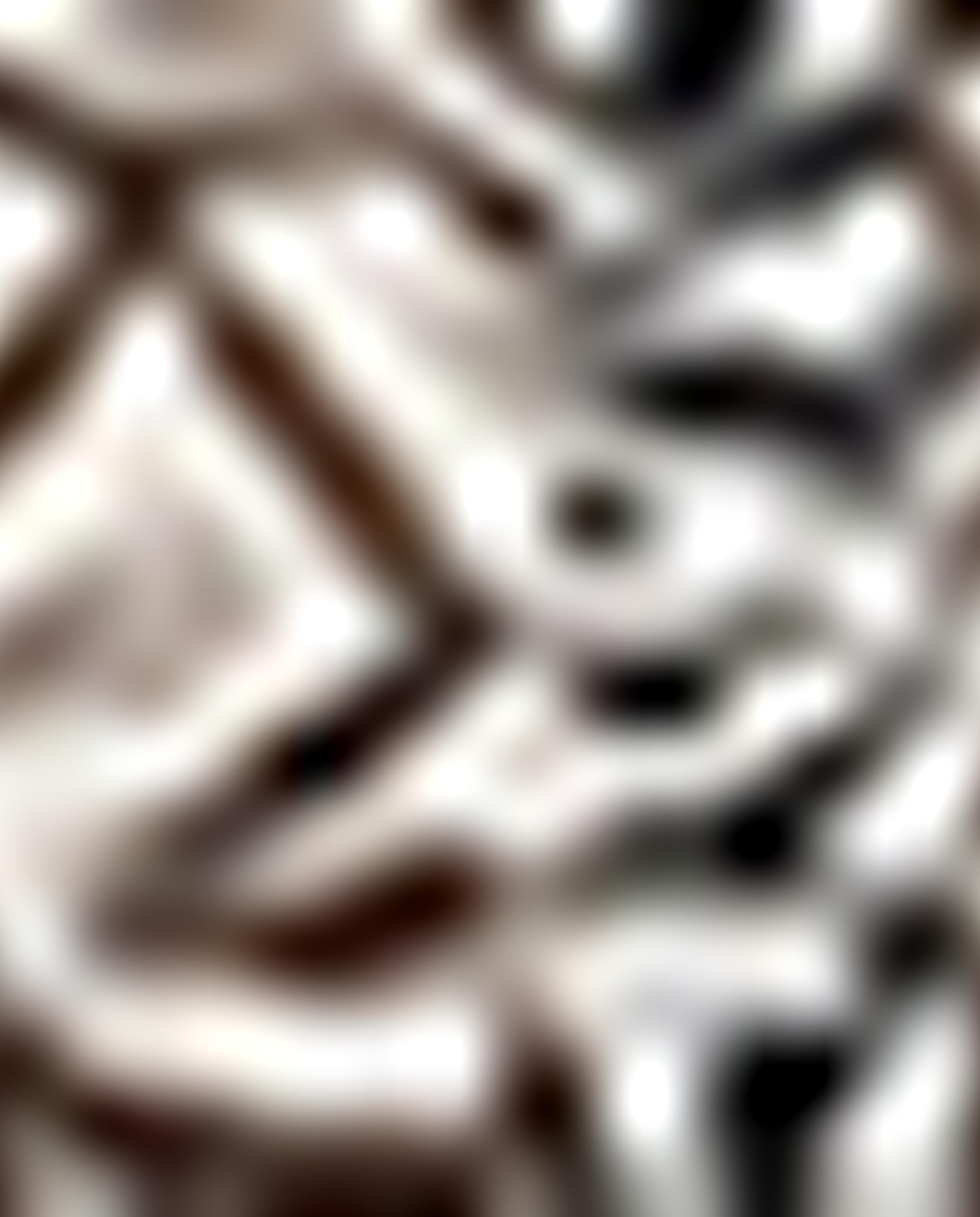 Printed Shirt with Classic Collar and Long Sleeves