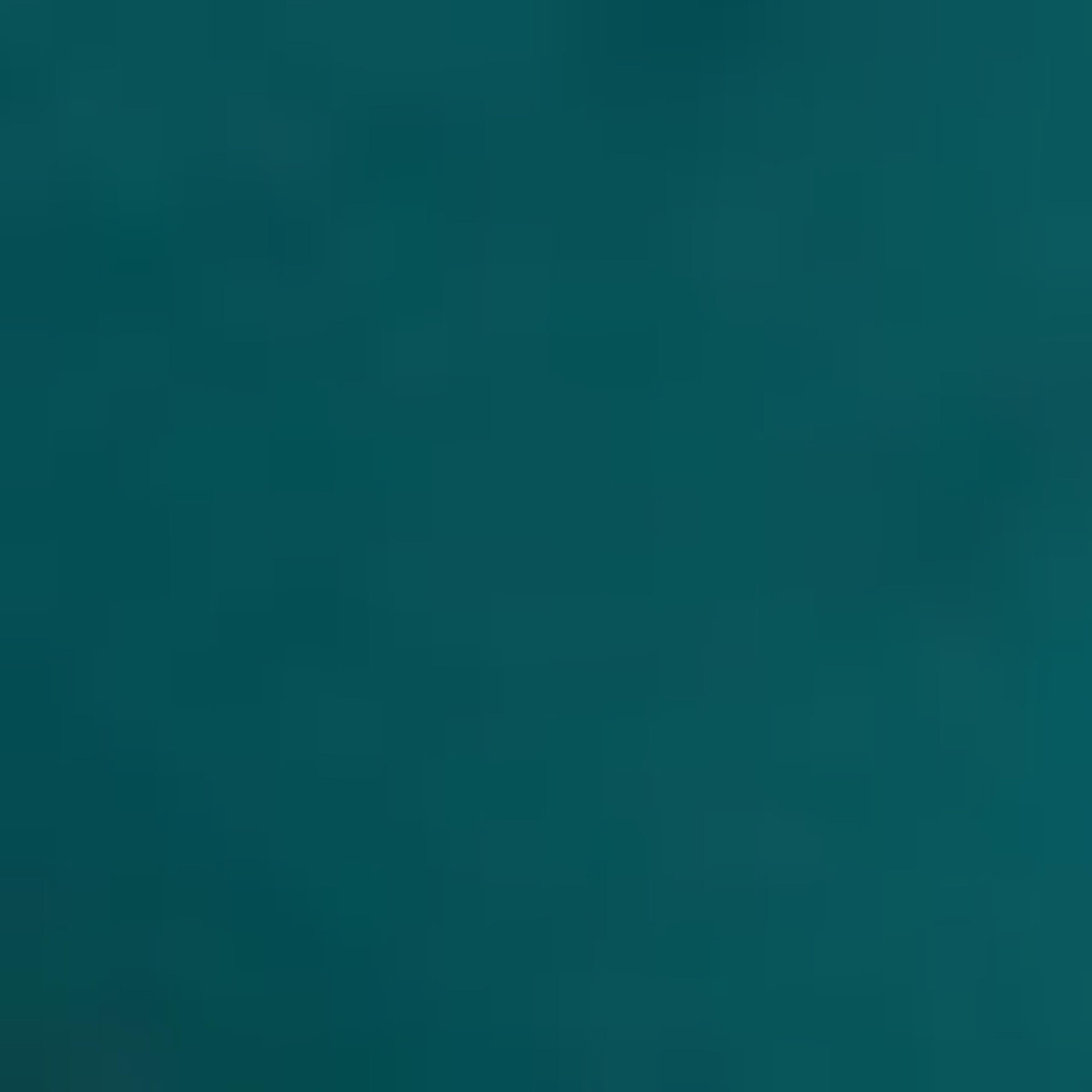 Solid Flared Leg Pants with Elastic Waistband