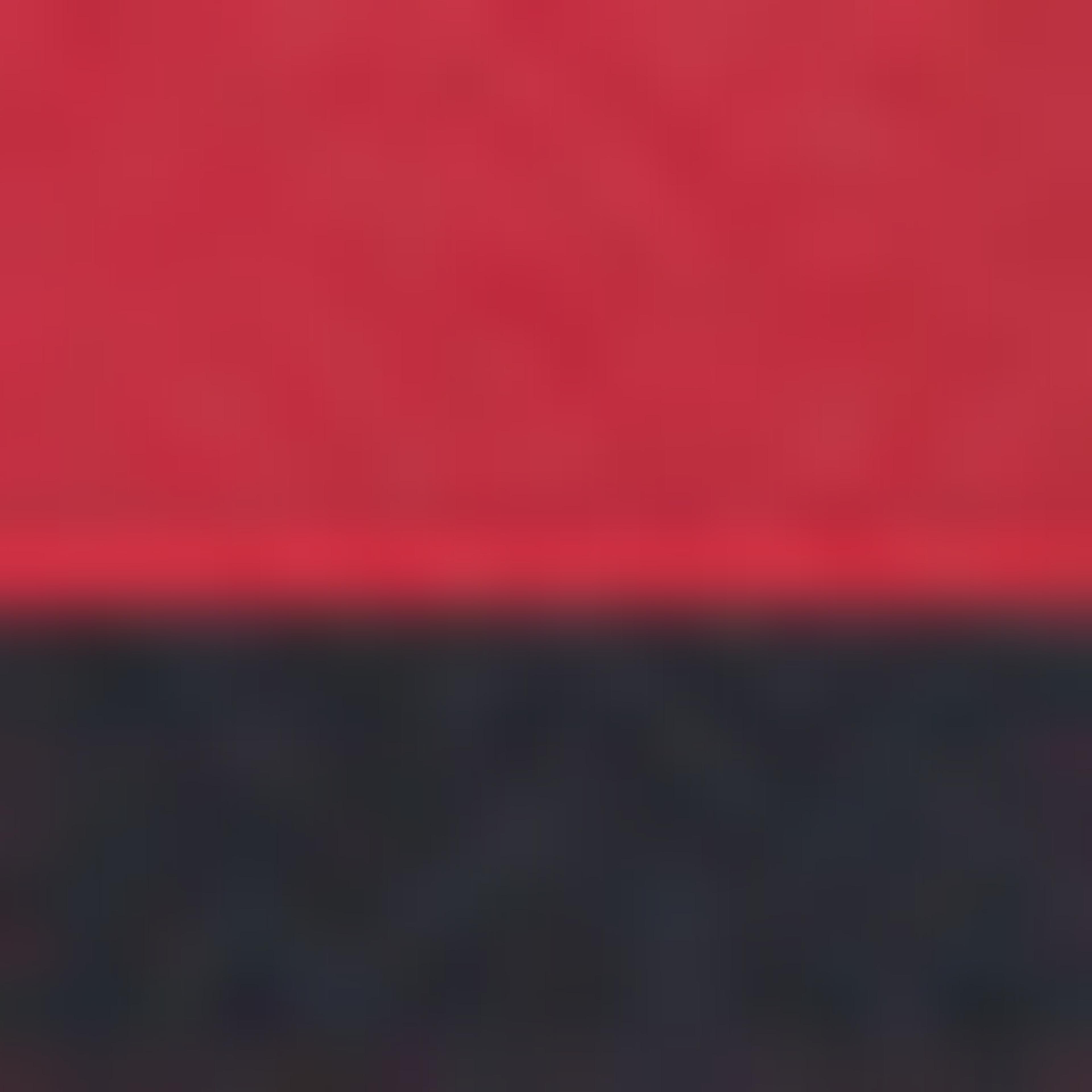 Pack of 2 Regular Fit Shorts