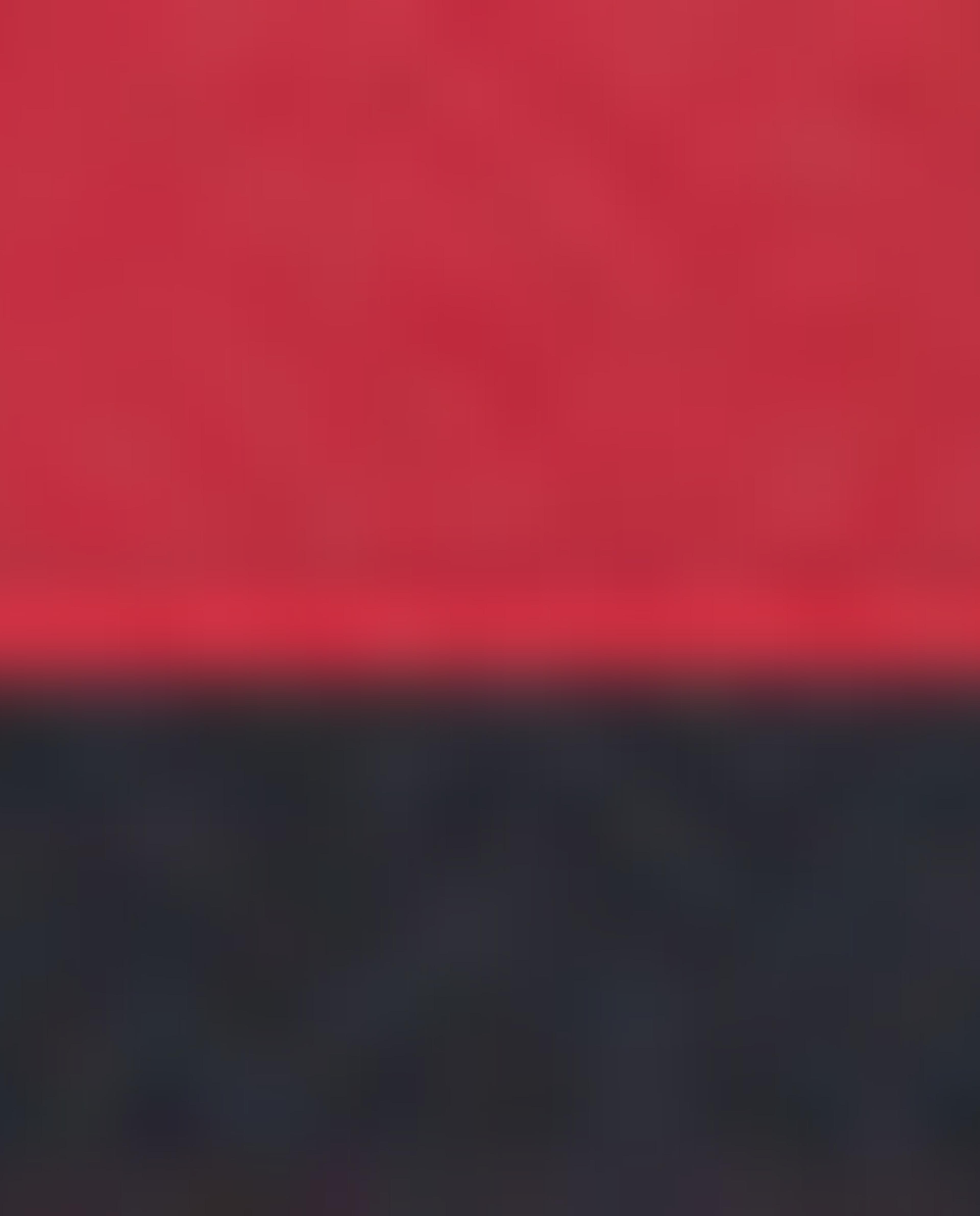 Pack of 2 Regular Fit Shorts