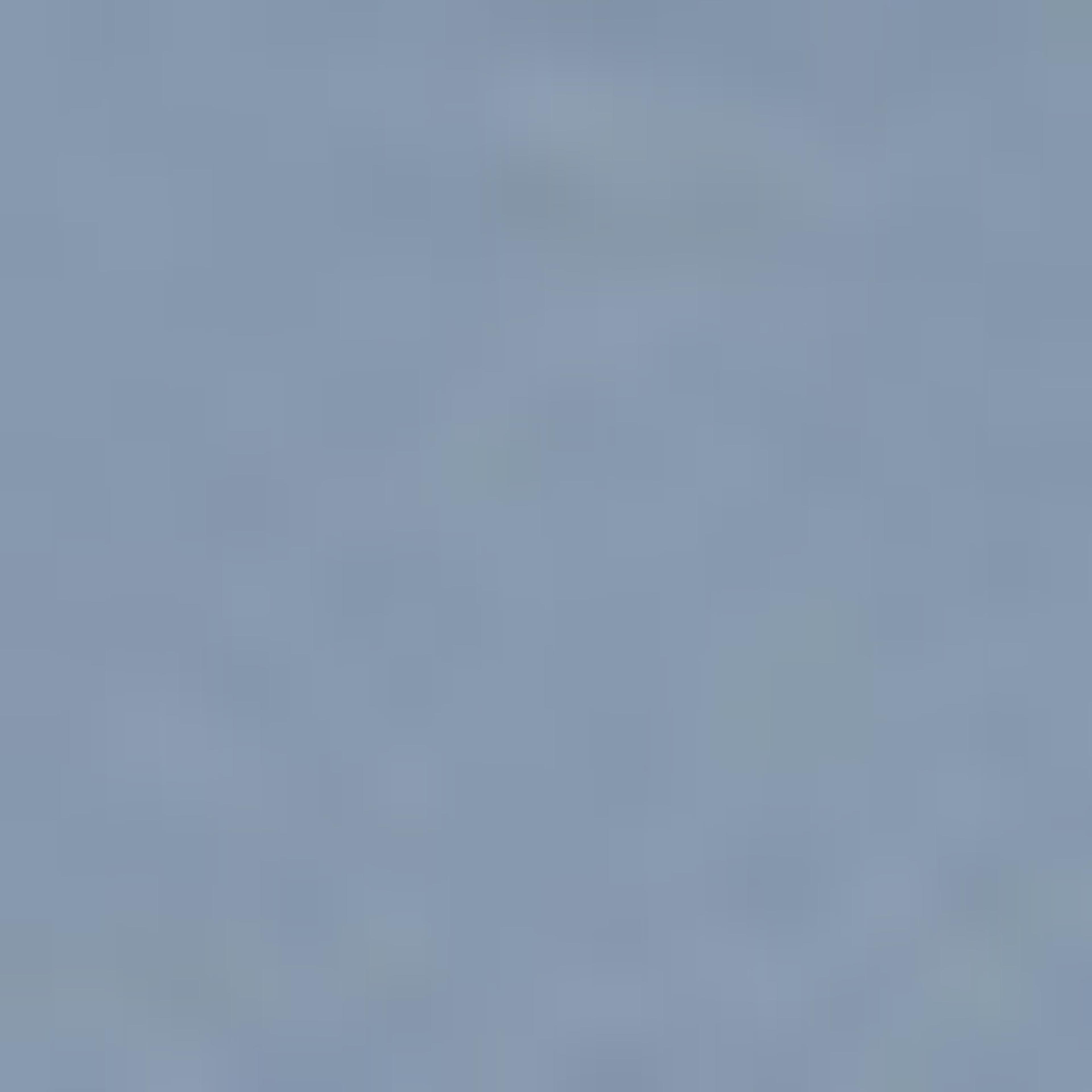 Printed T-Shirt with Crew Neck and Long Sleeves