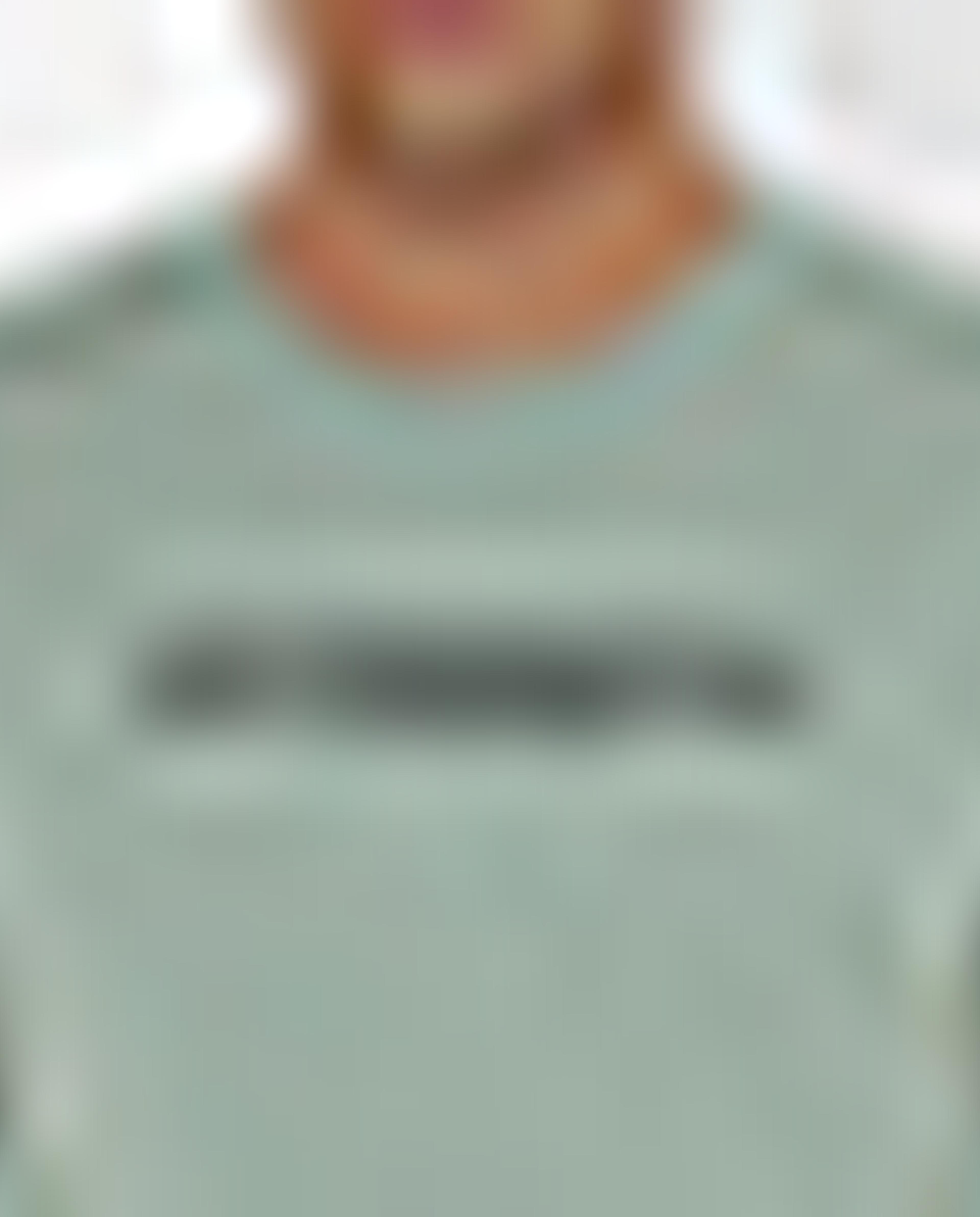 تيشيرت بأكمام قصيرة ورقبة مستديرة بطبعة