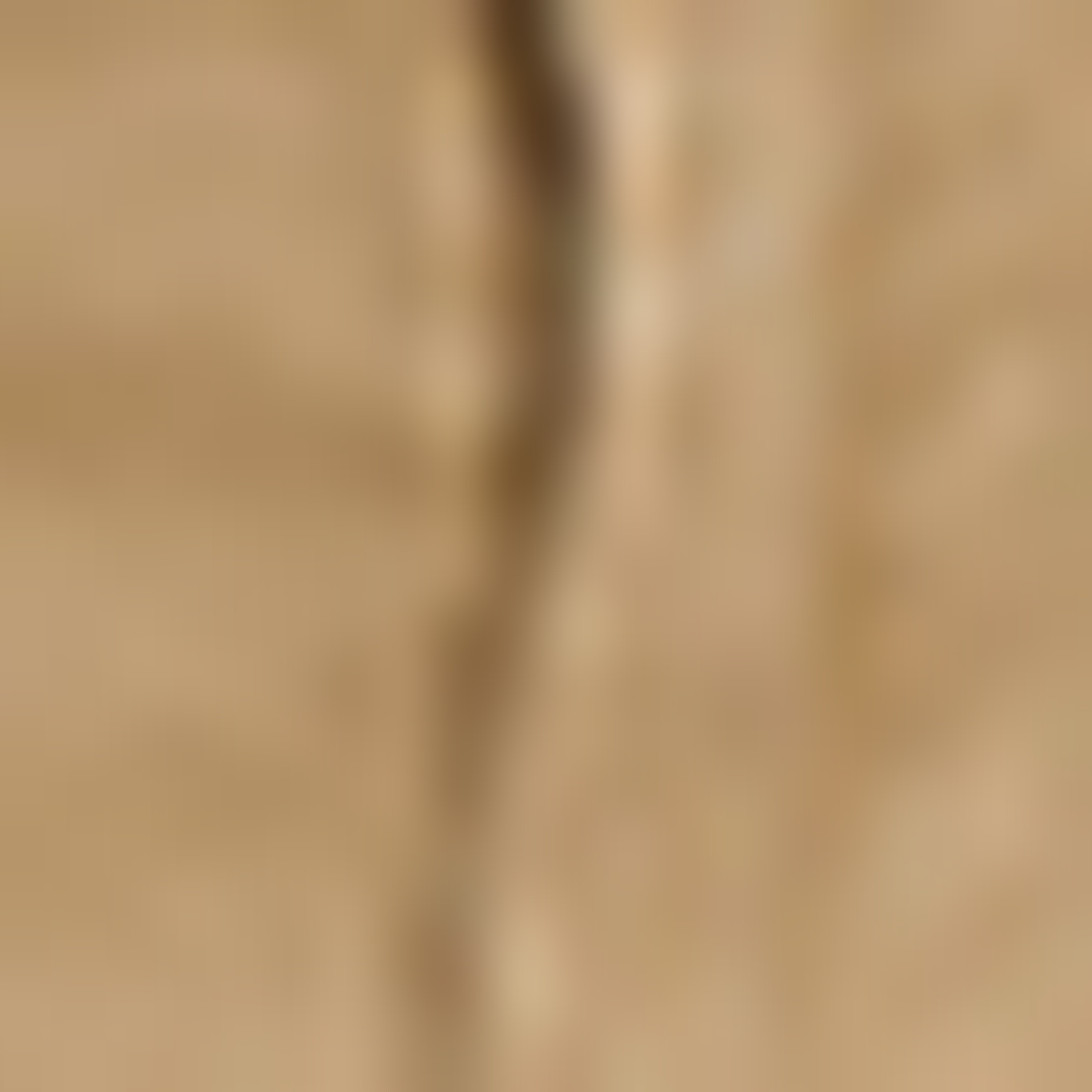 بنطال بأزرار