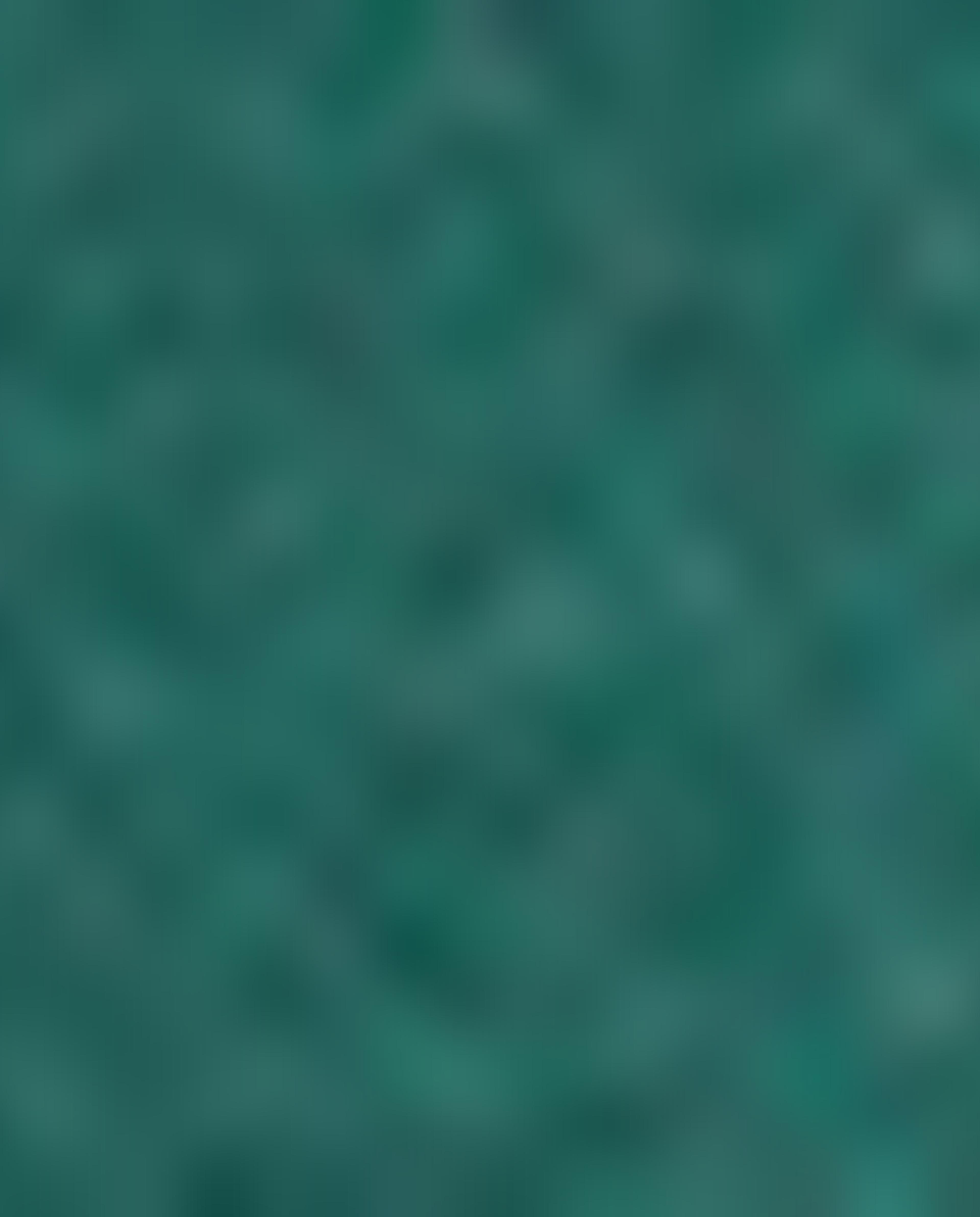 Solid Mid-Rise Joggers with Drawstring Closure