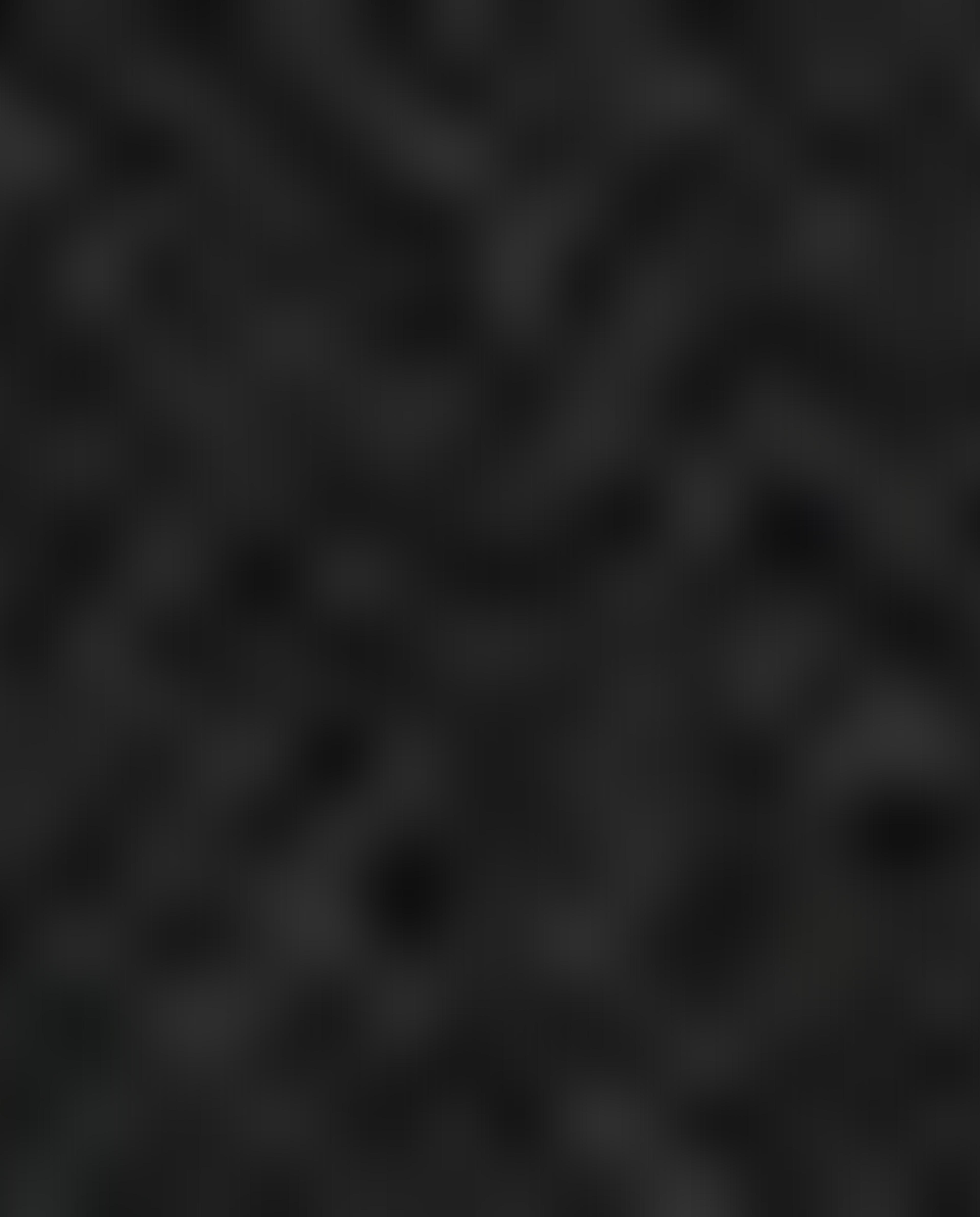 غلاف جواز السفر بطبعة