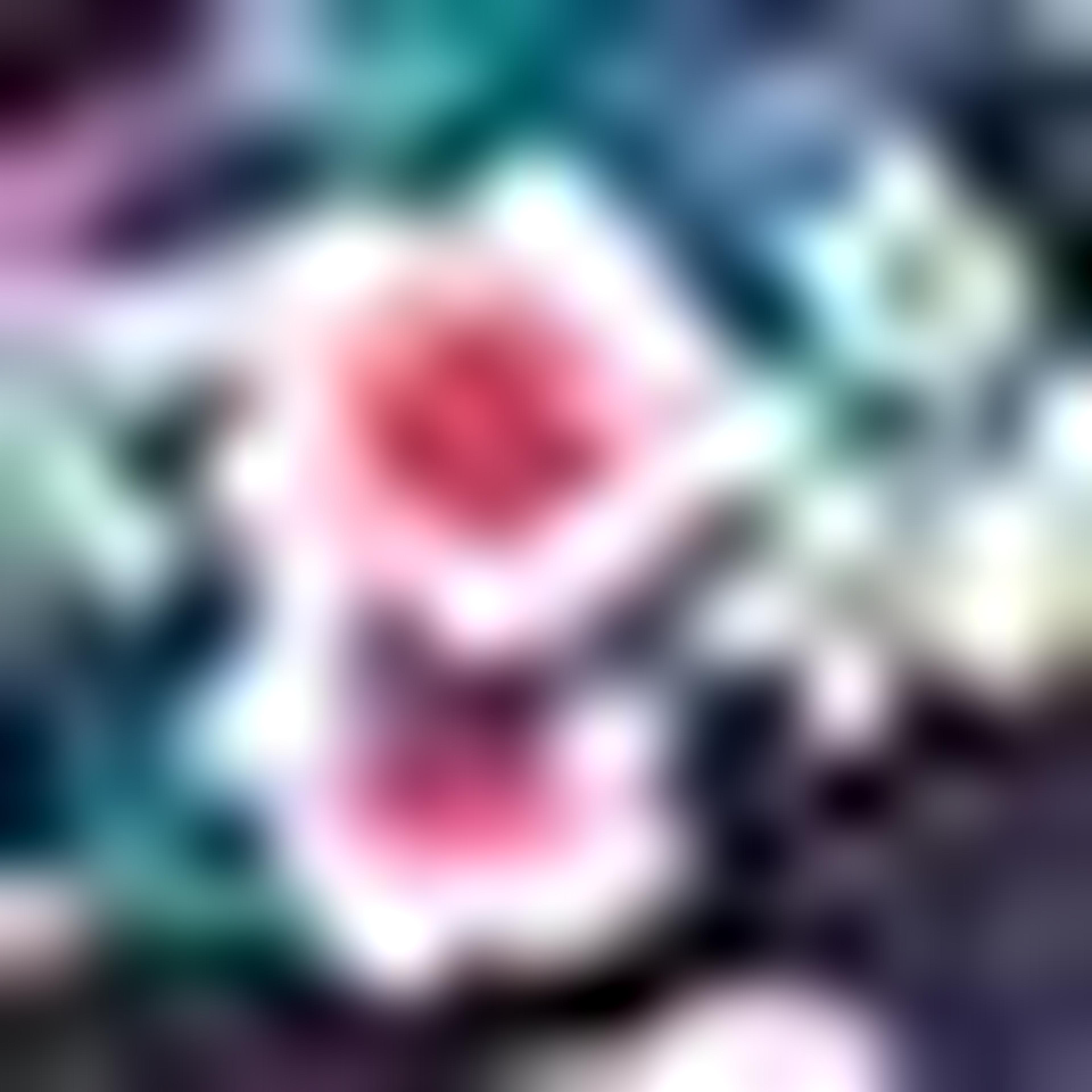 حقيبة كتف قماش بطبعة