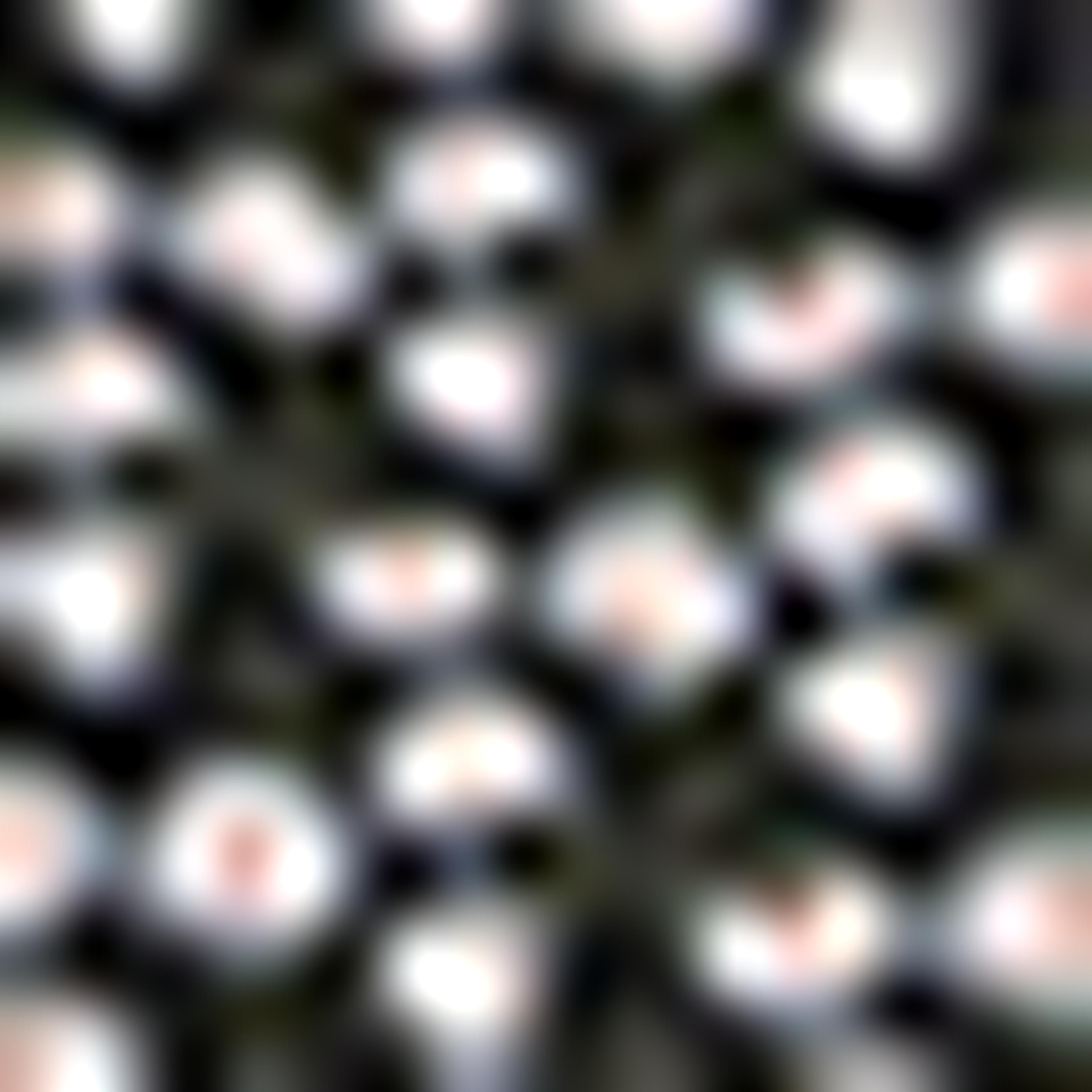 وشاح رأس بطبعة