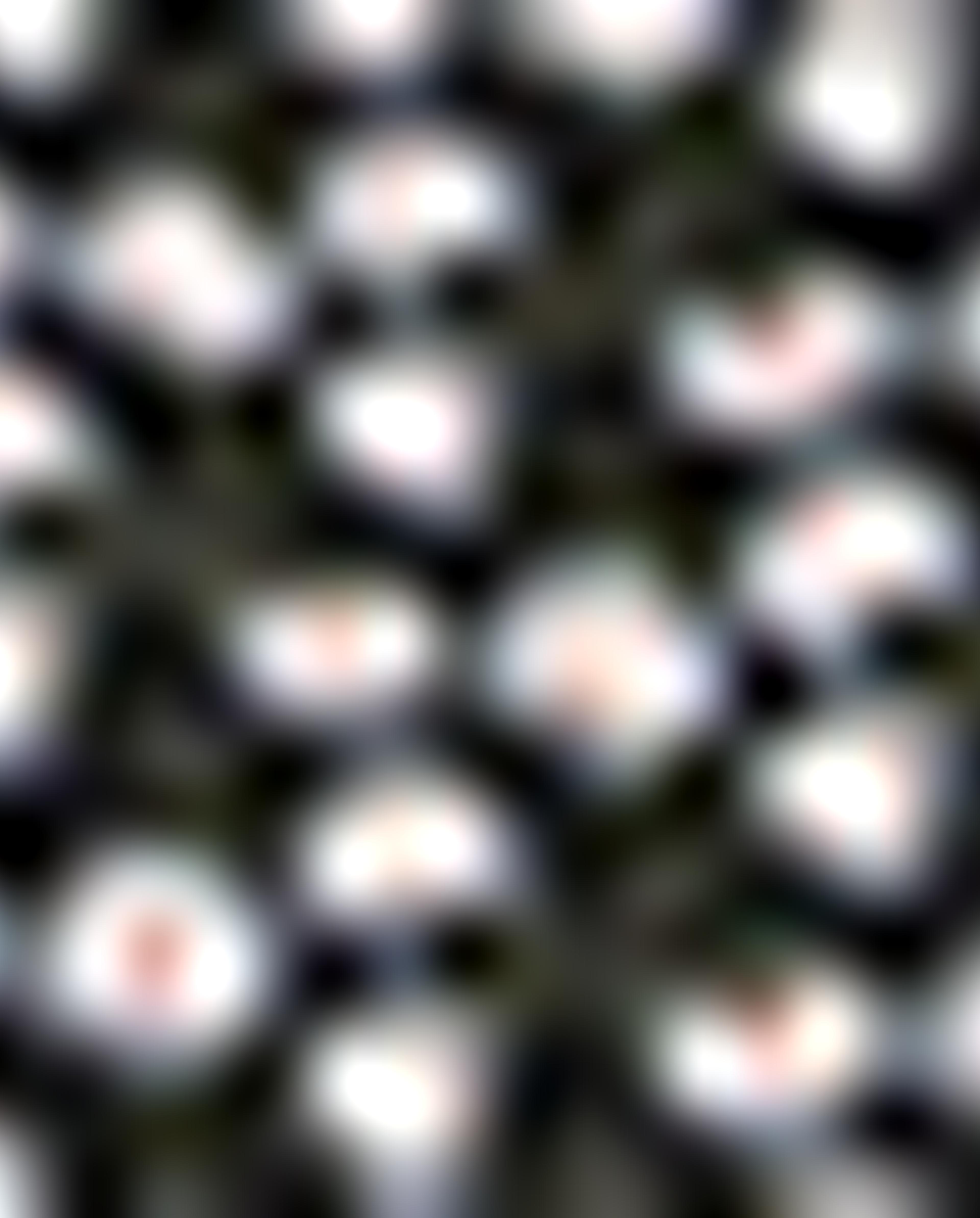 وشاح رأس بطبعة