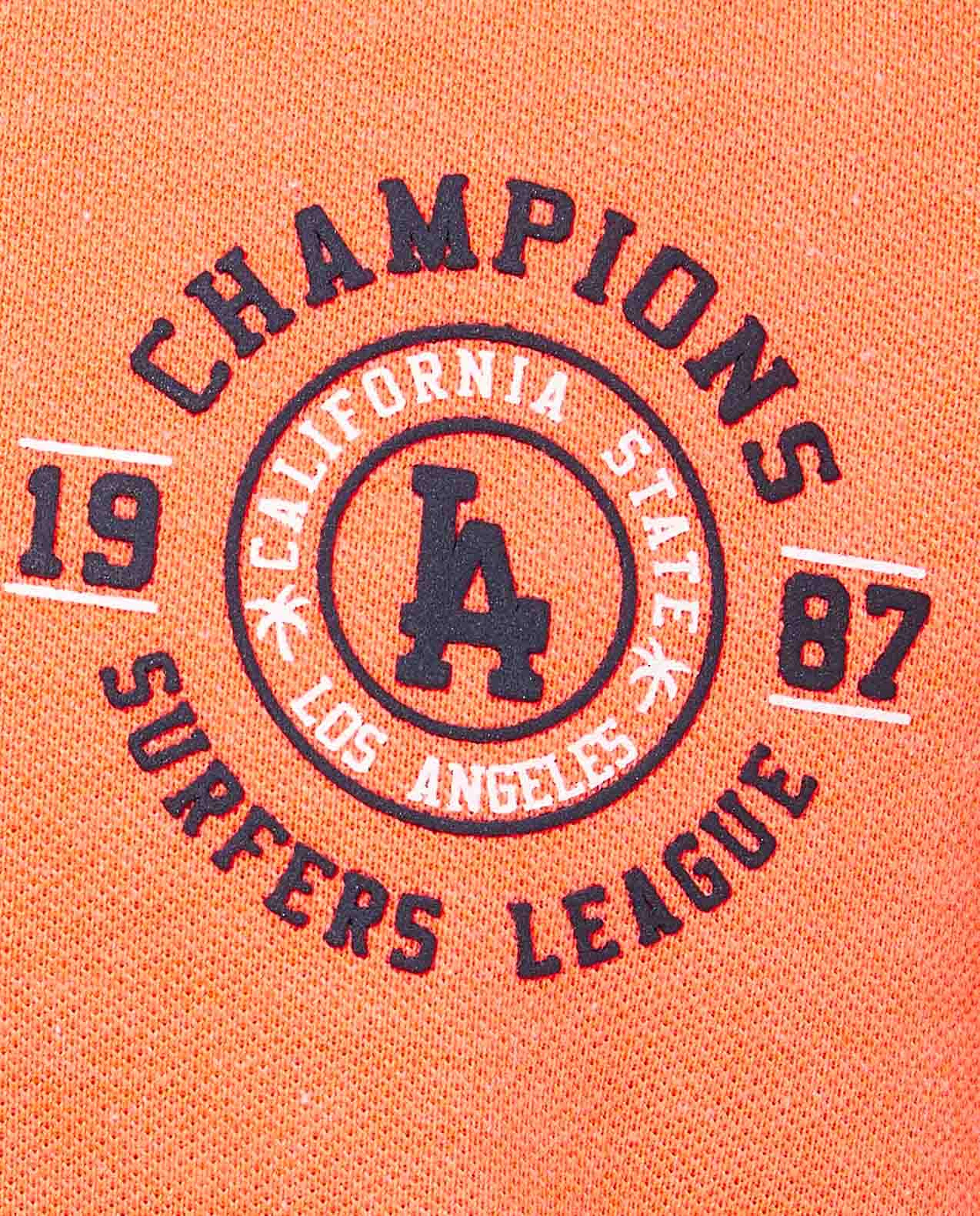 Print Detail Polo T-Shirt with Short Sleeves