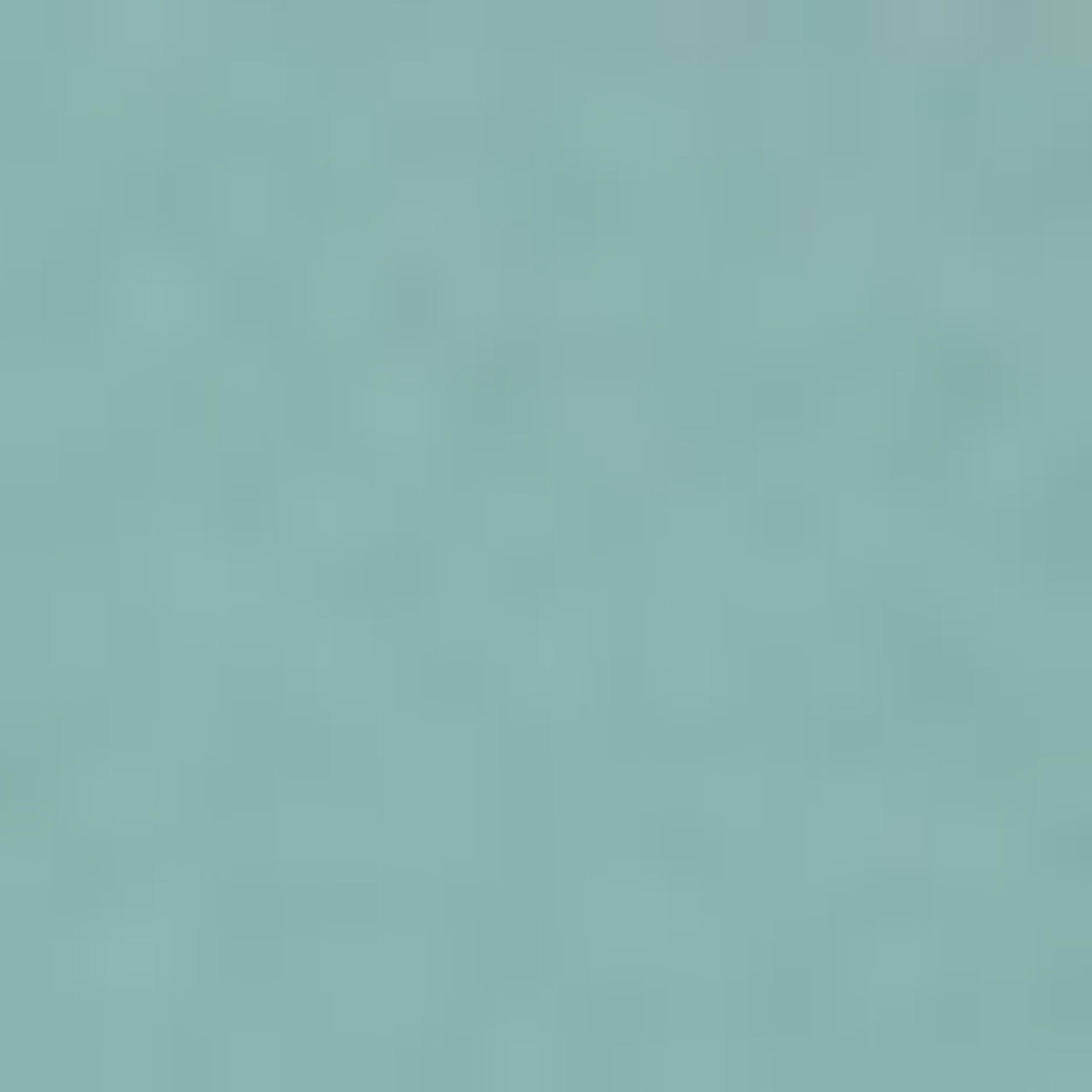 Solid Shirt with Mandarin Collar and Short Sleeves