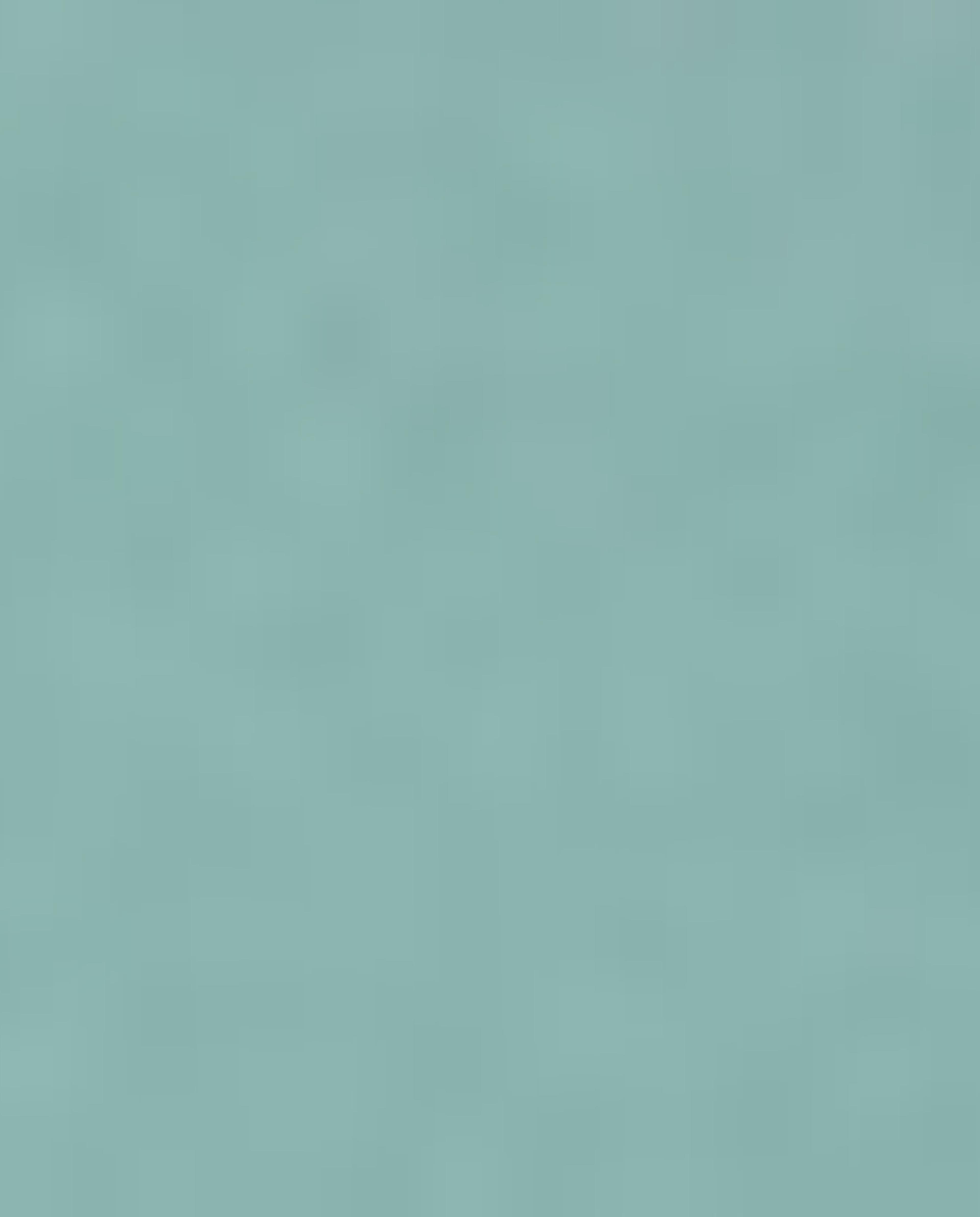 Solid Shirt with Mandarin Collar and Short Sleeves