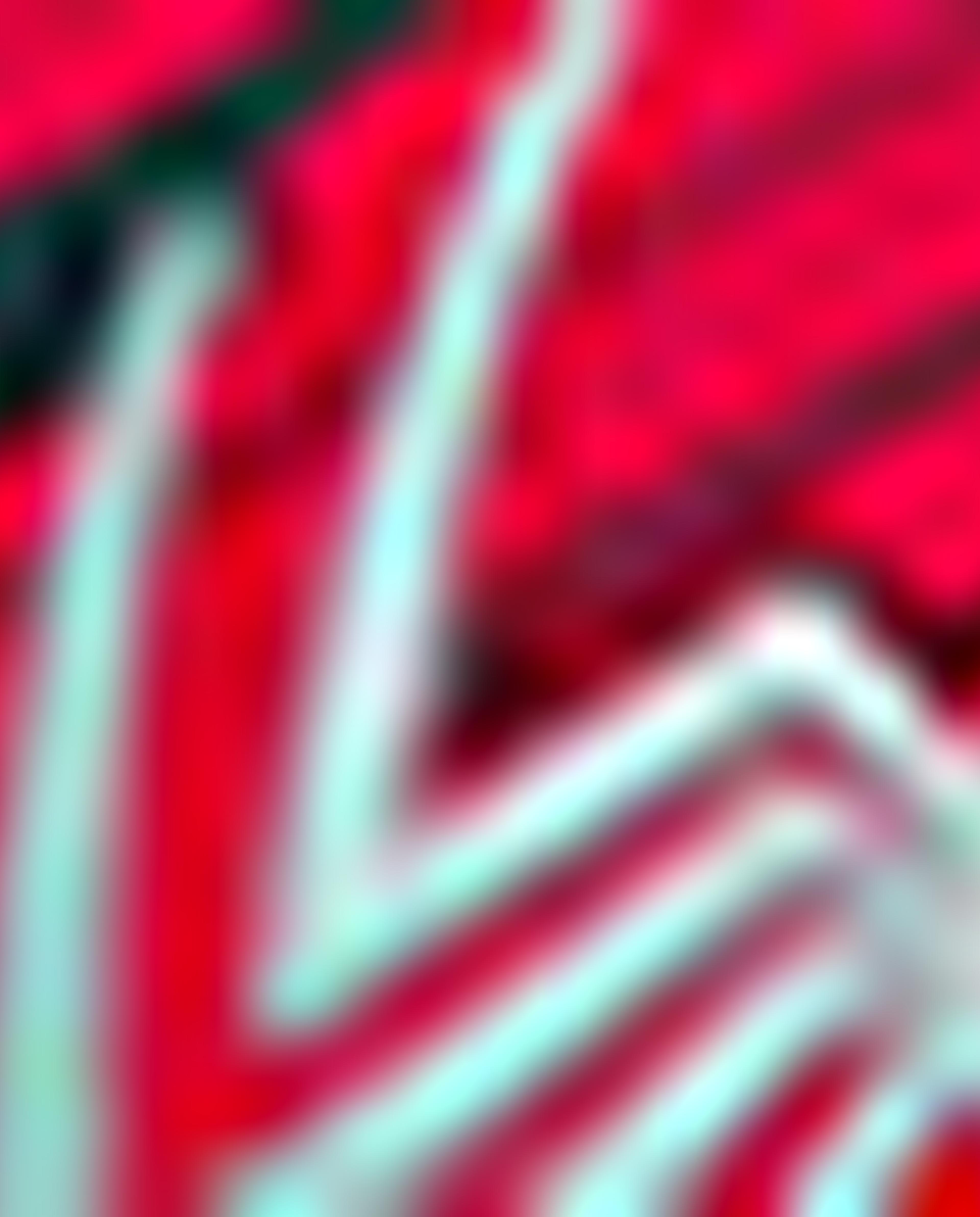 Spider-Man Theme School Backpack