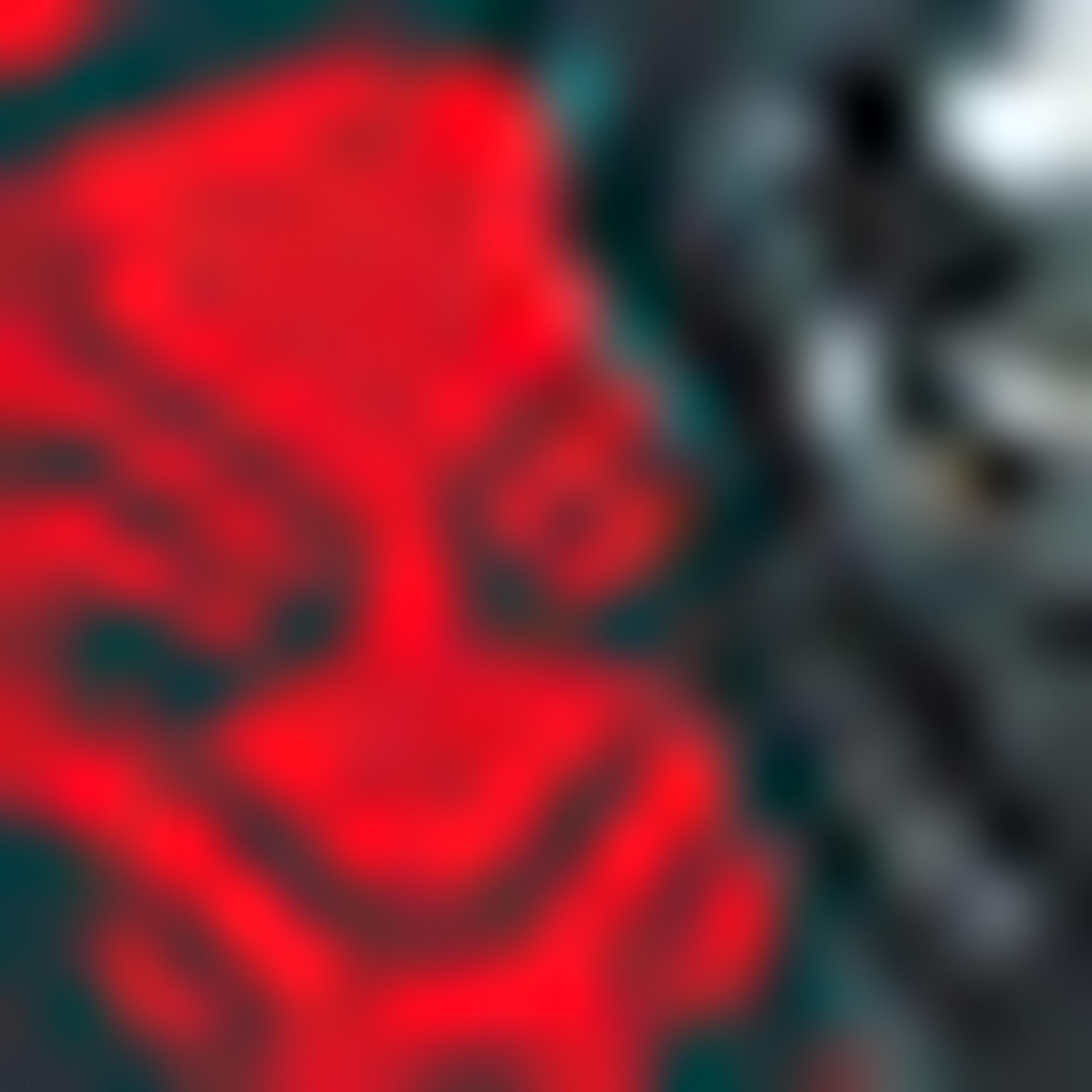 Black Panther School Backpack