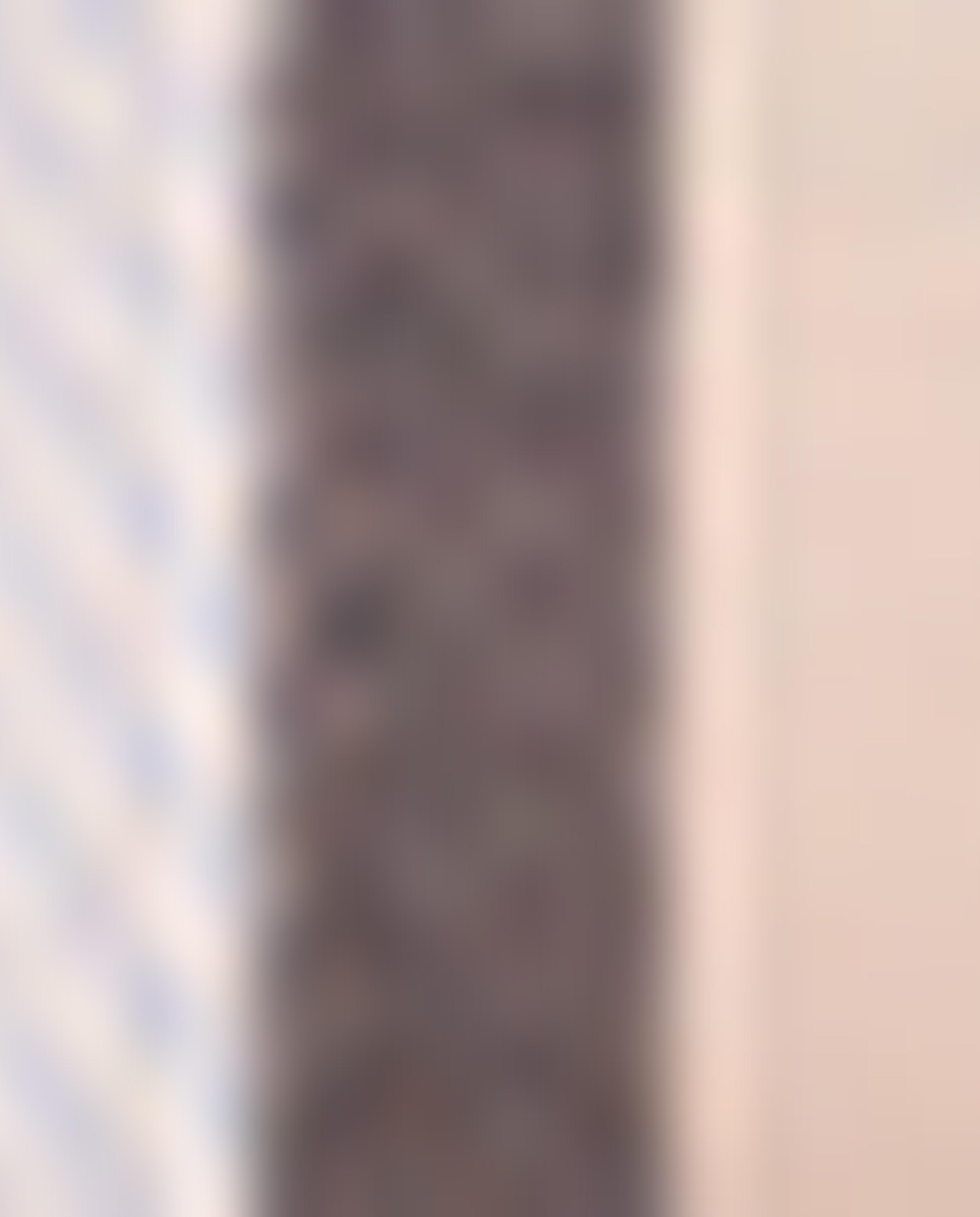 Pack of 3 Bikini Briefs