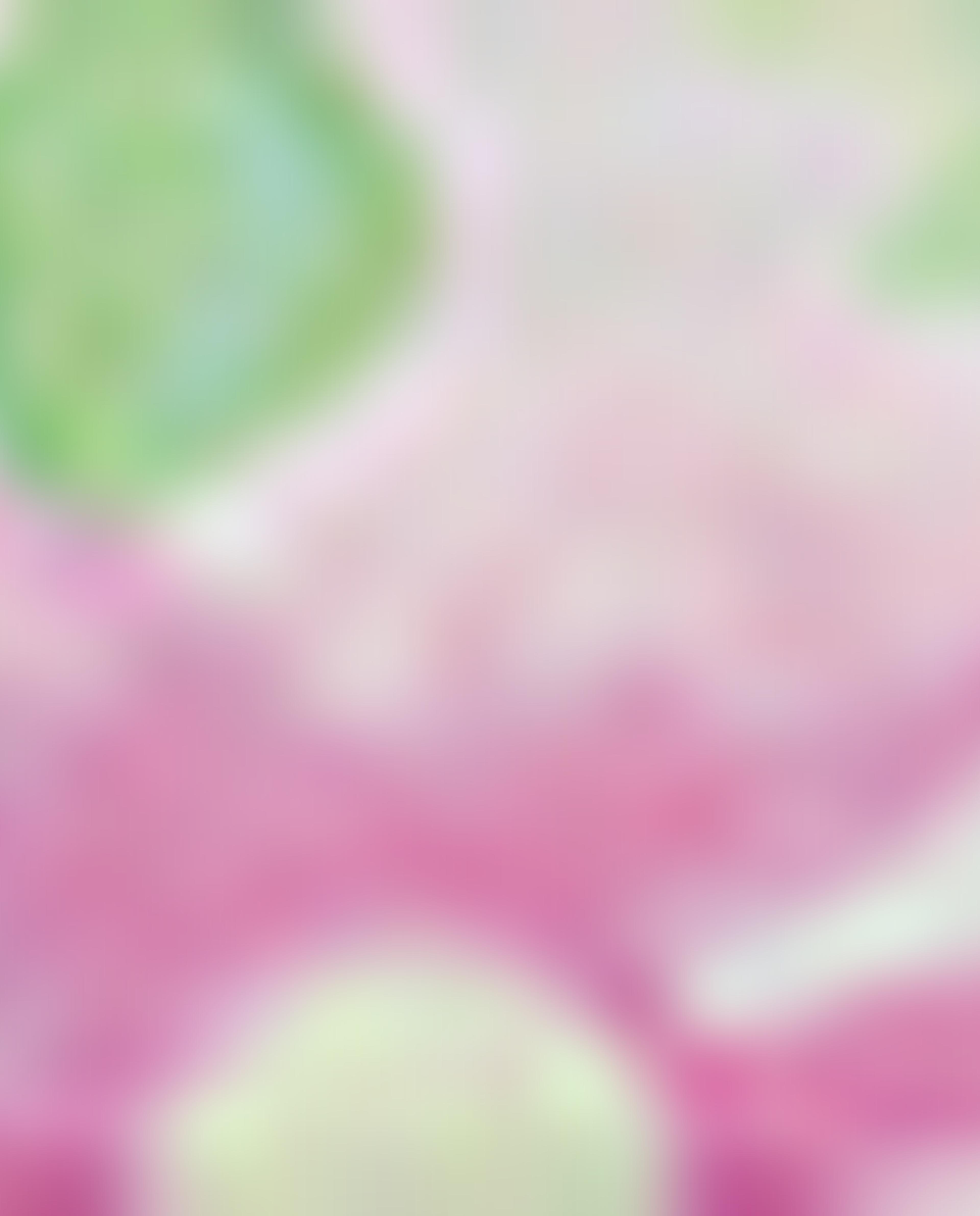 Printed Crop Top Crew Neck and Short Sleeves