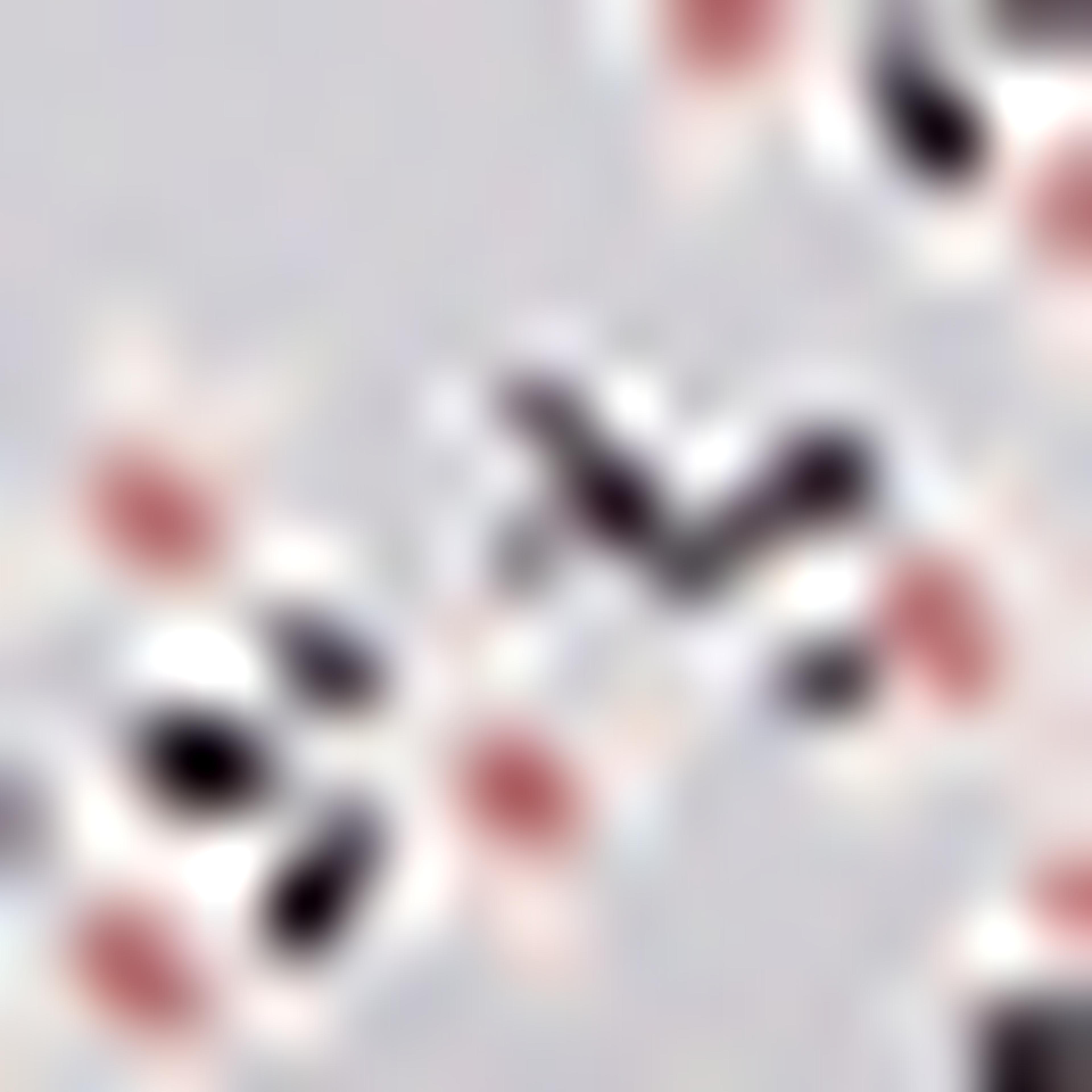 Floral Print Long Wallet