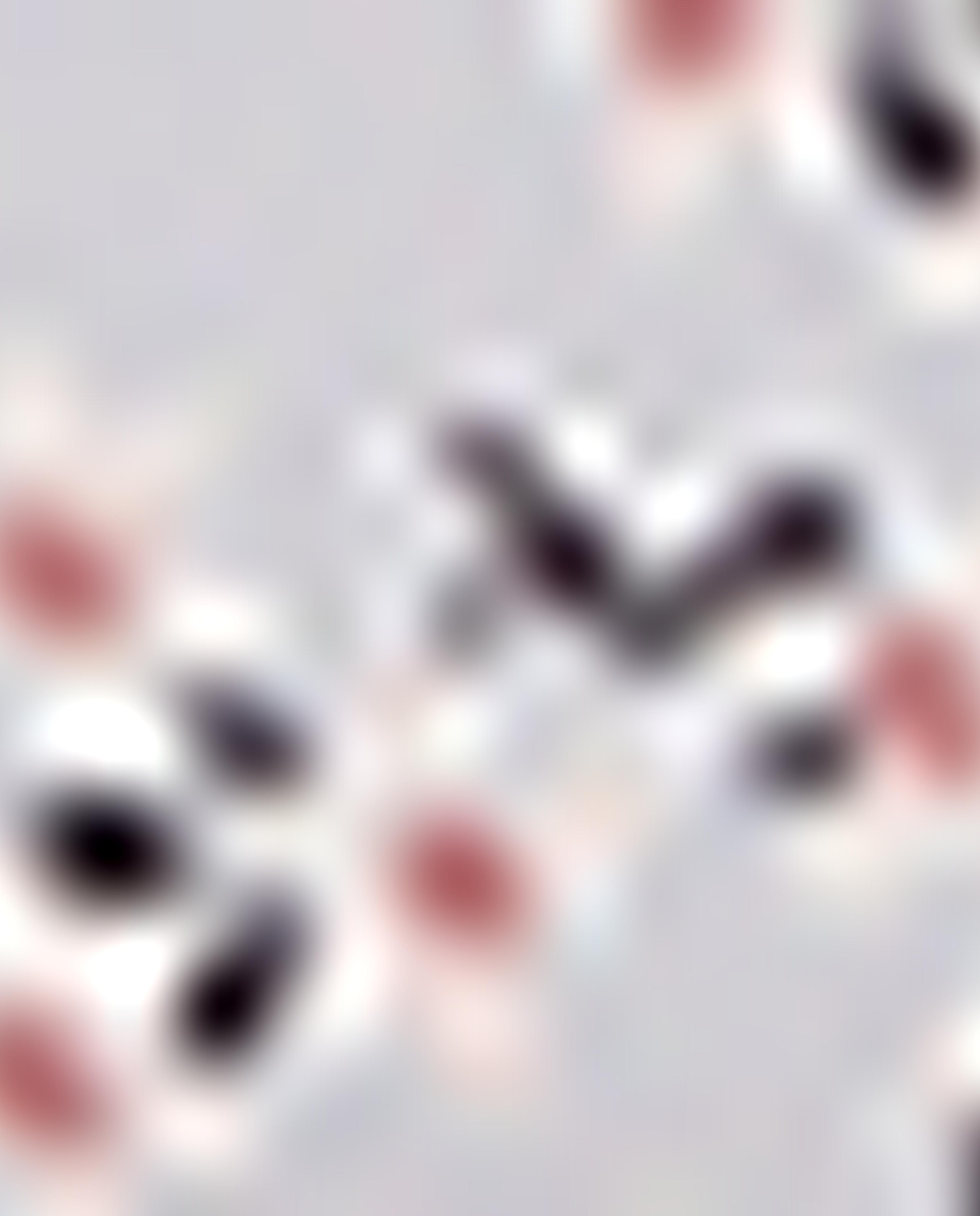 Floral Print Long Wallet