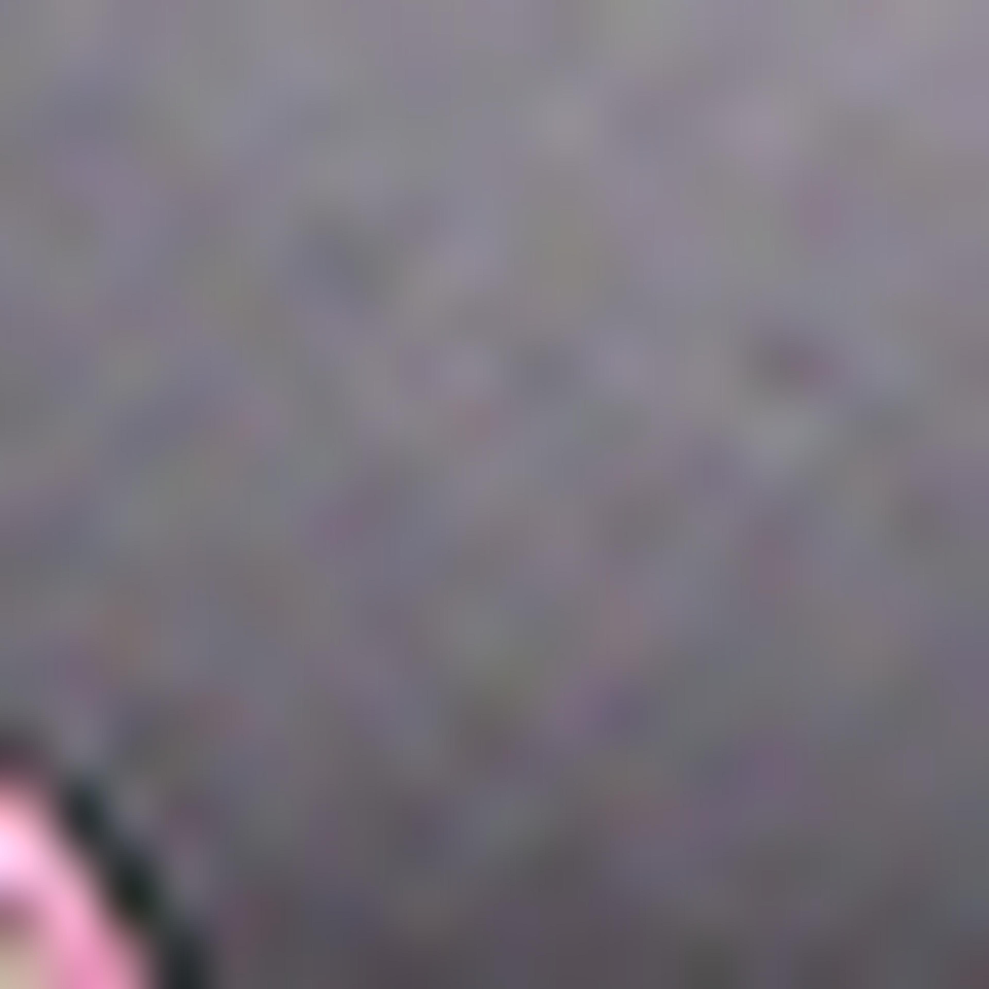 باوتش بطبعة