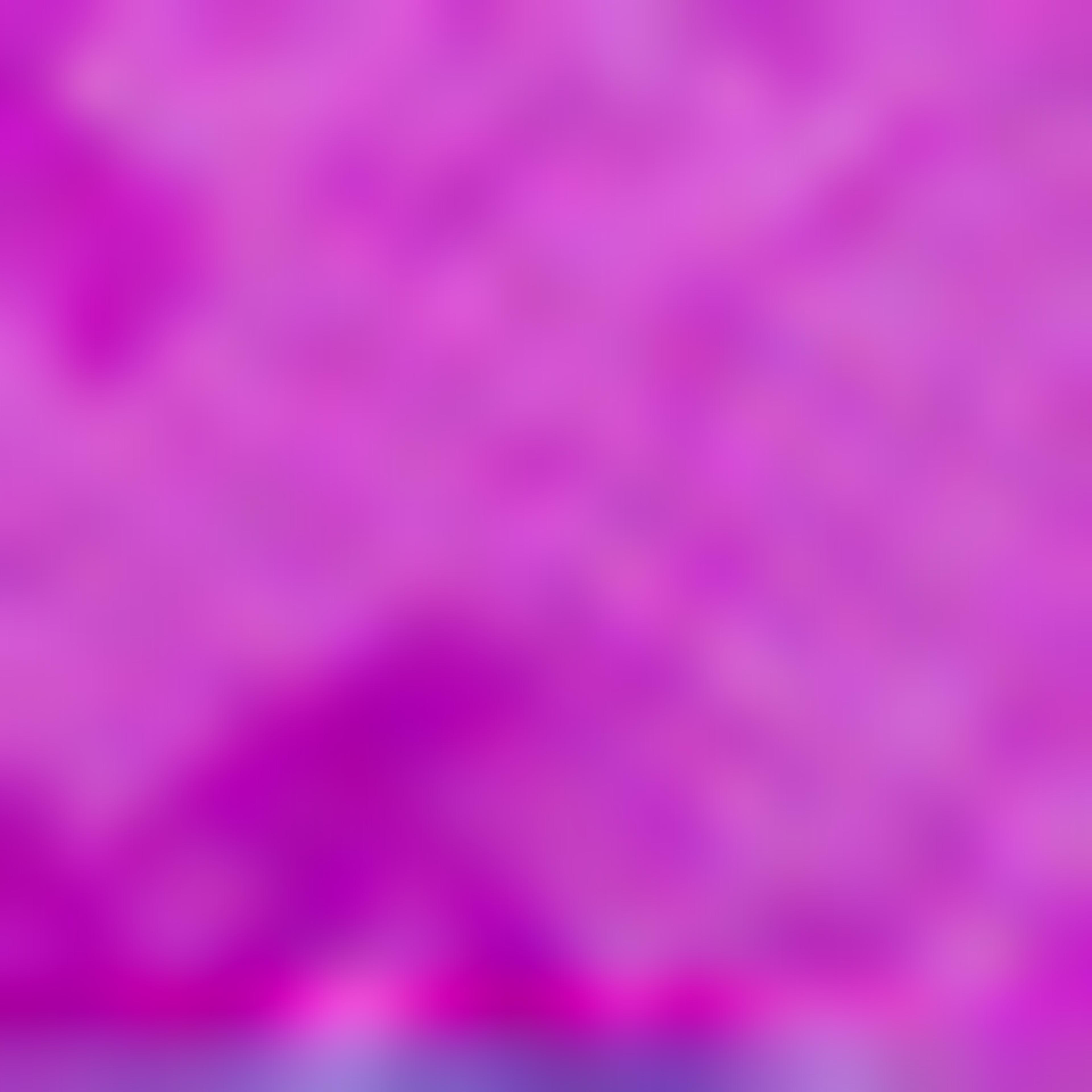 طقم حقيبة مدرسية فتيات القوة