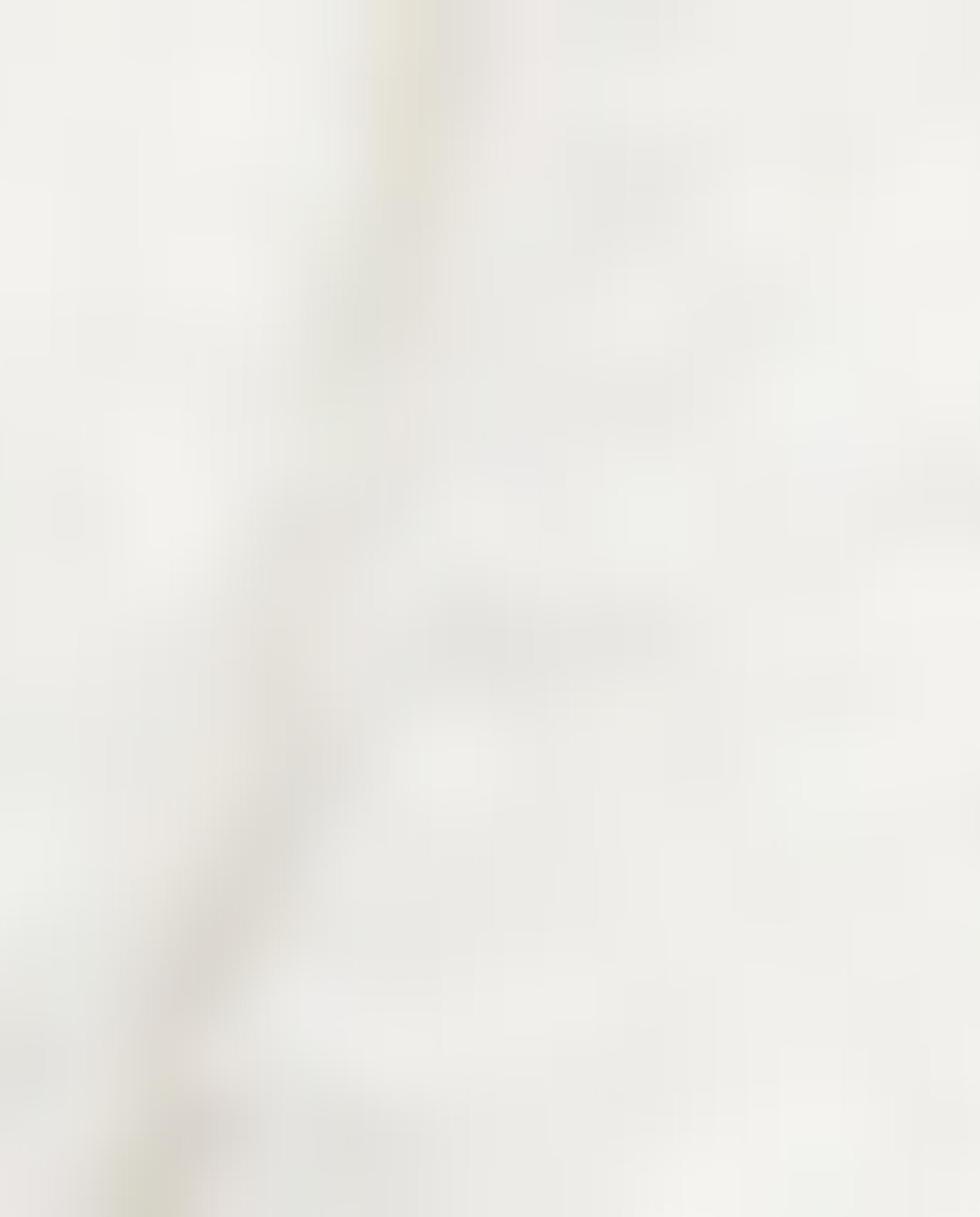 جاكيت فيست فرو