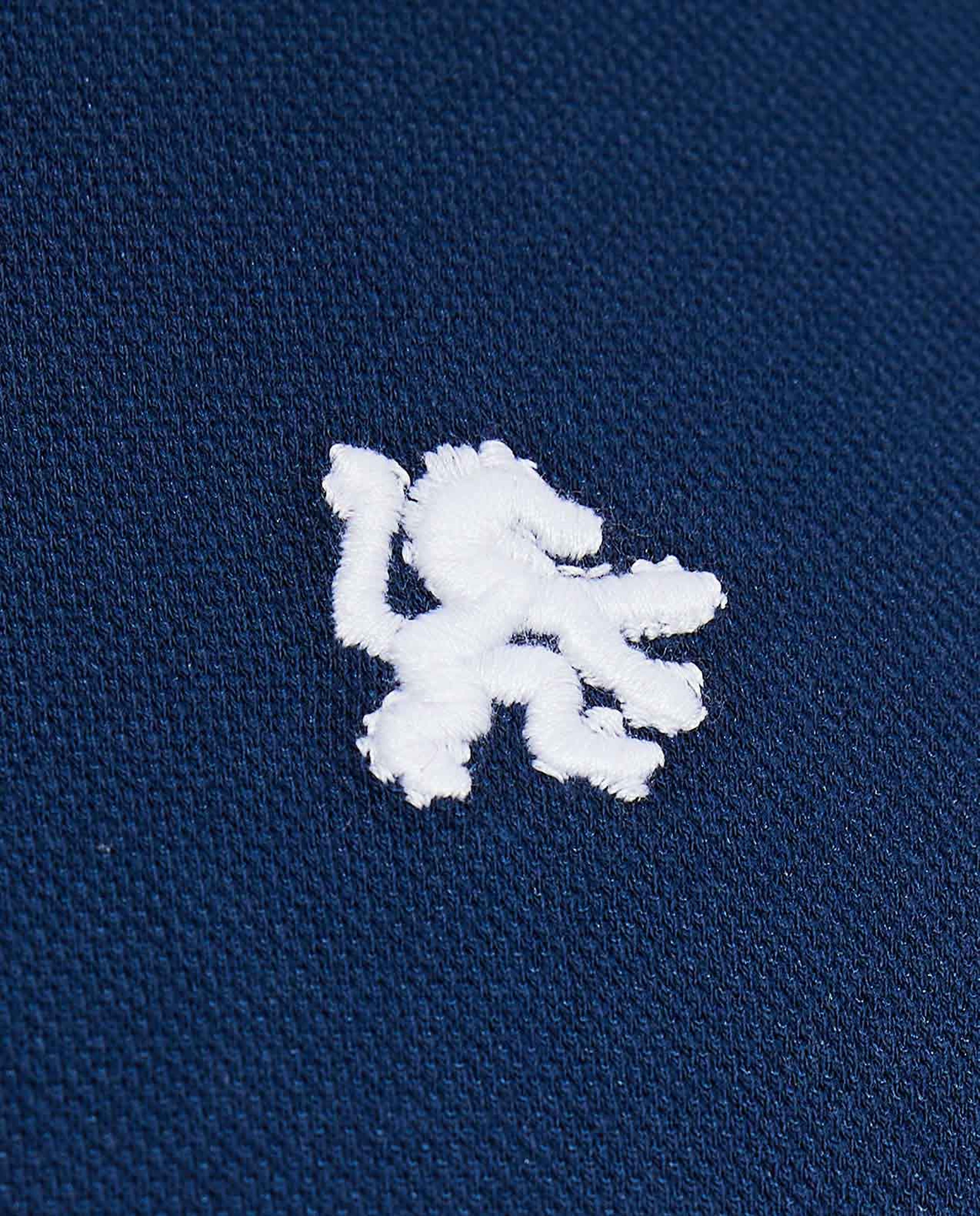 Embroidery Detail Polo T-Shirt with Short Sleeves