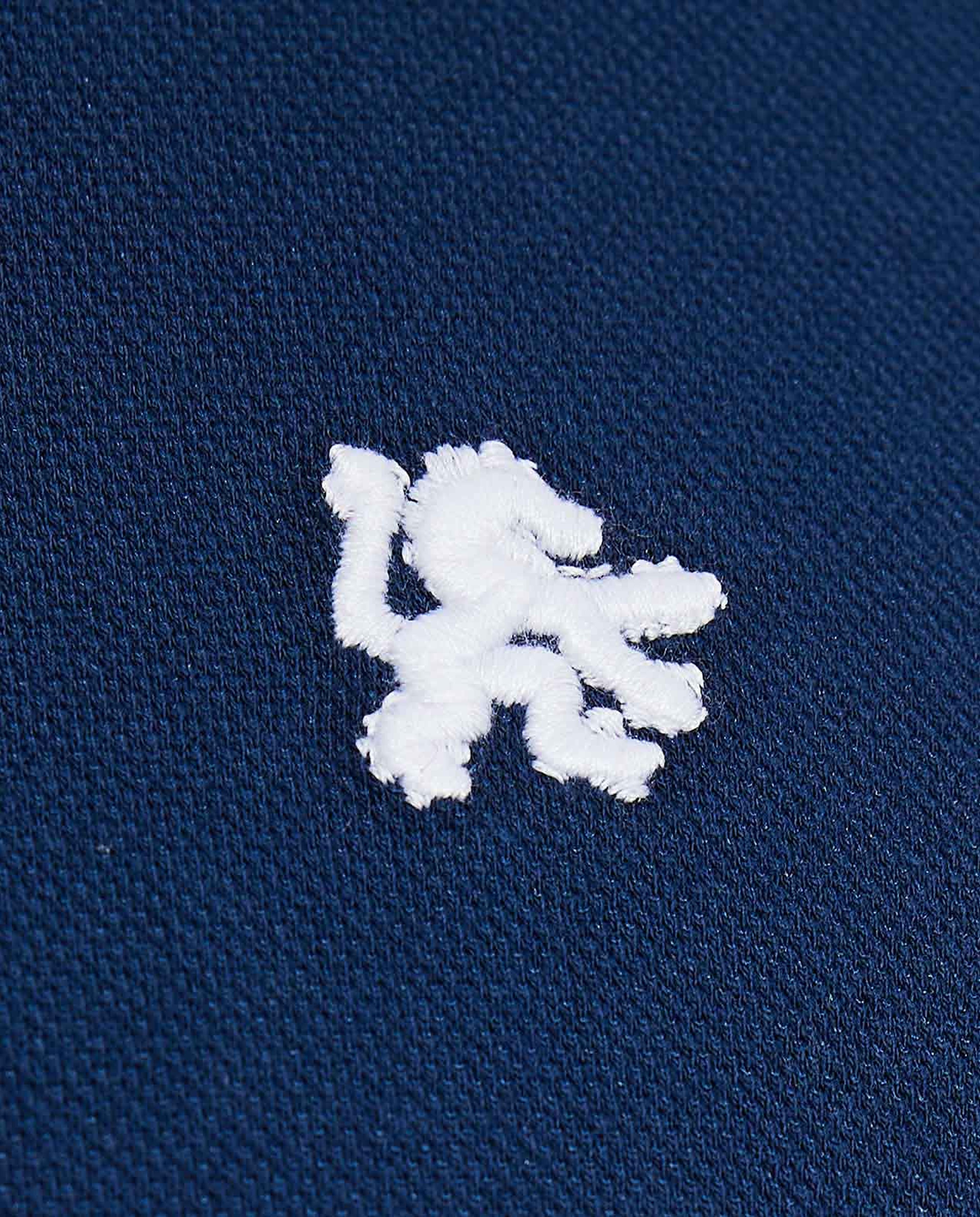 Embroidery Detail Polo T-Shirt with Short Sleeves