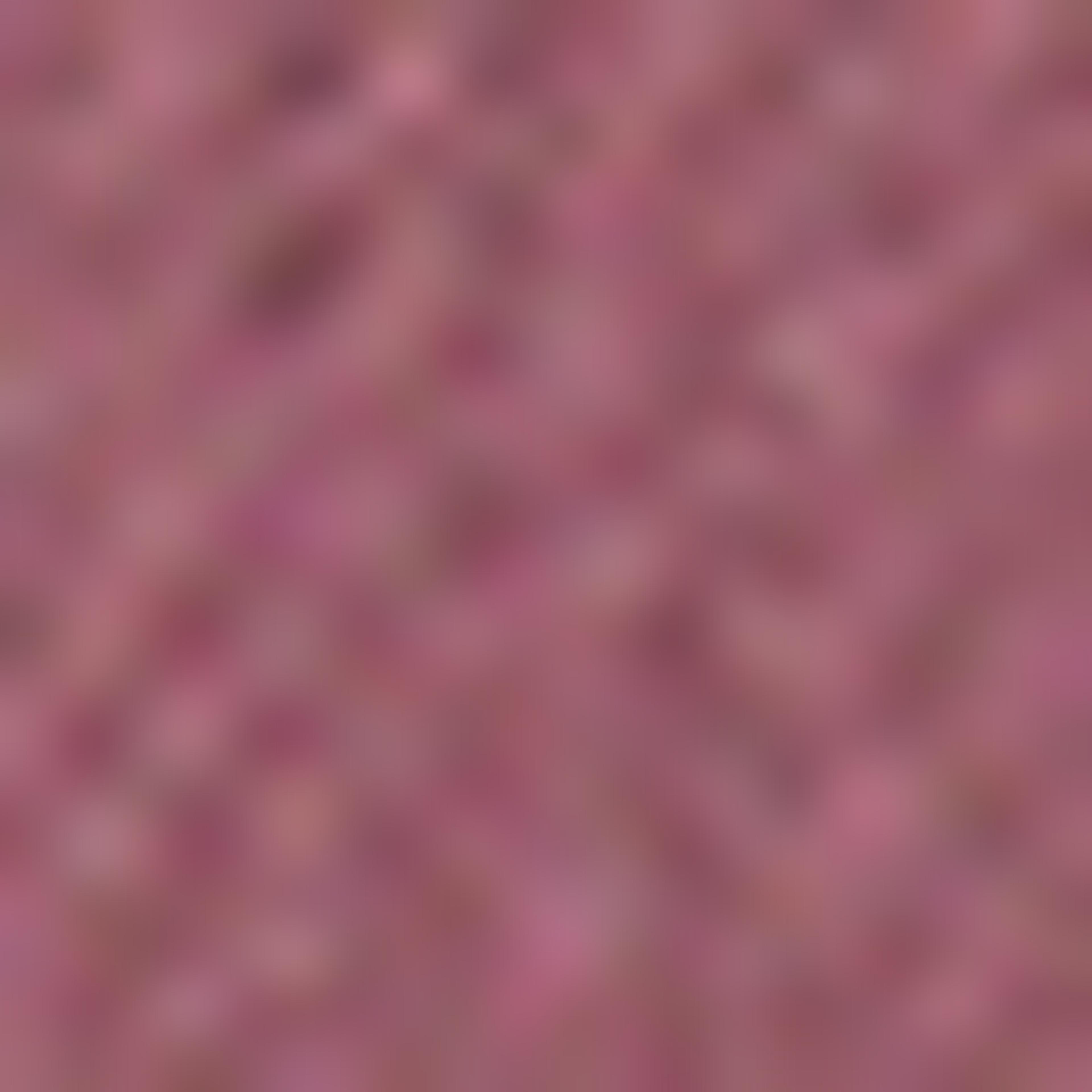 Printed Sweatshirt with Crew Neck and Long Sleeves