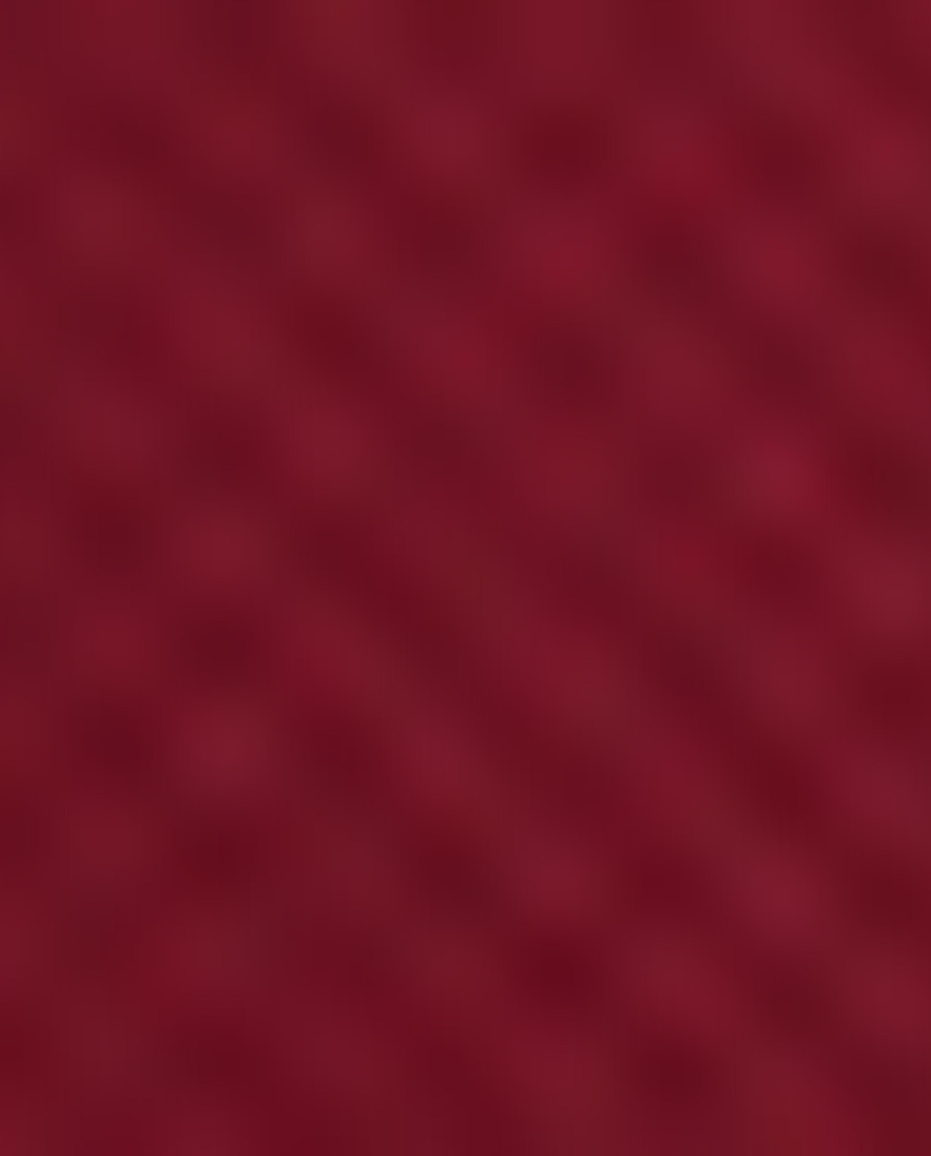 Quilted Sweatshirt with Crew Neck and Long Sleeves