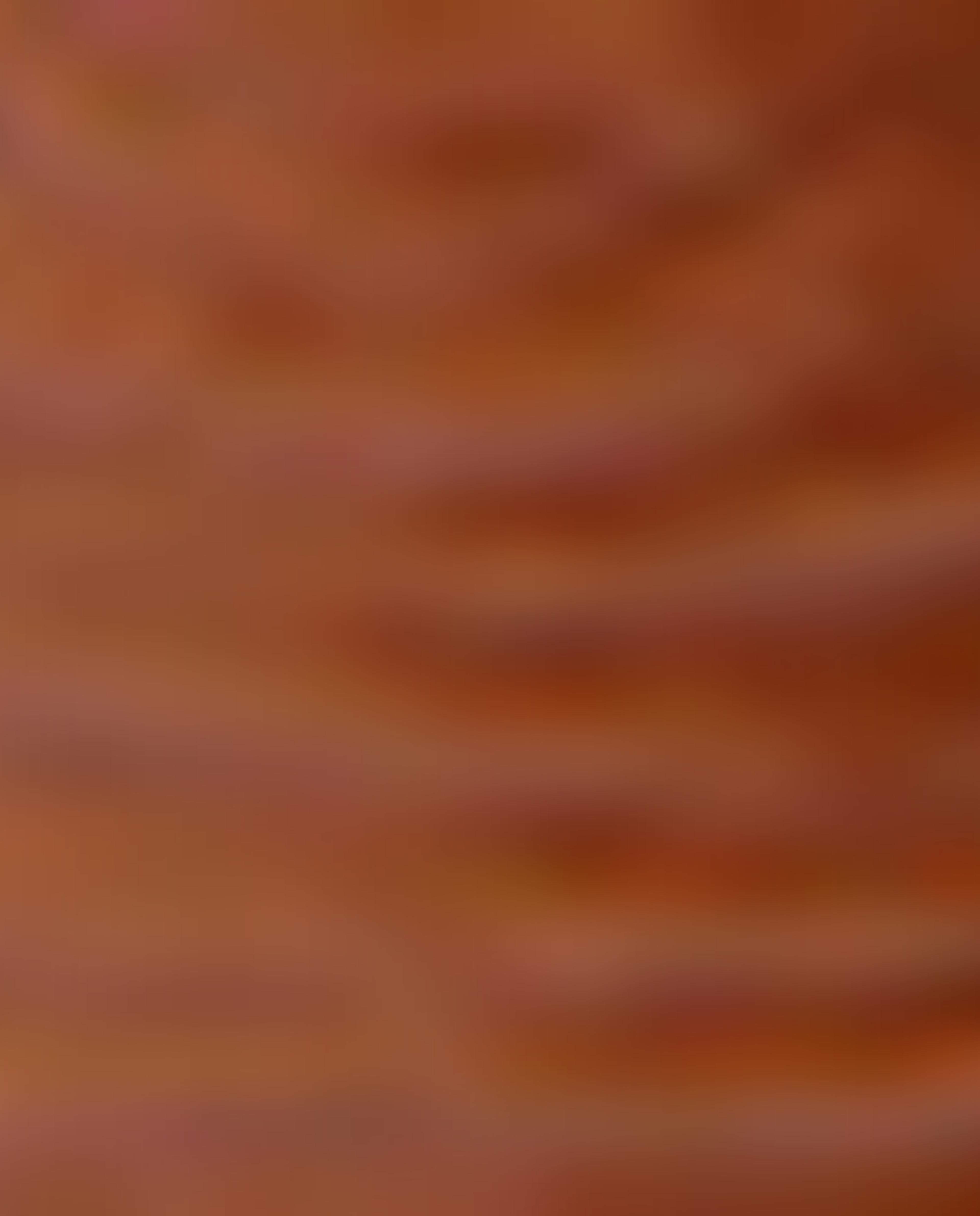 ميدالية مفاتيح مع ديناصور