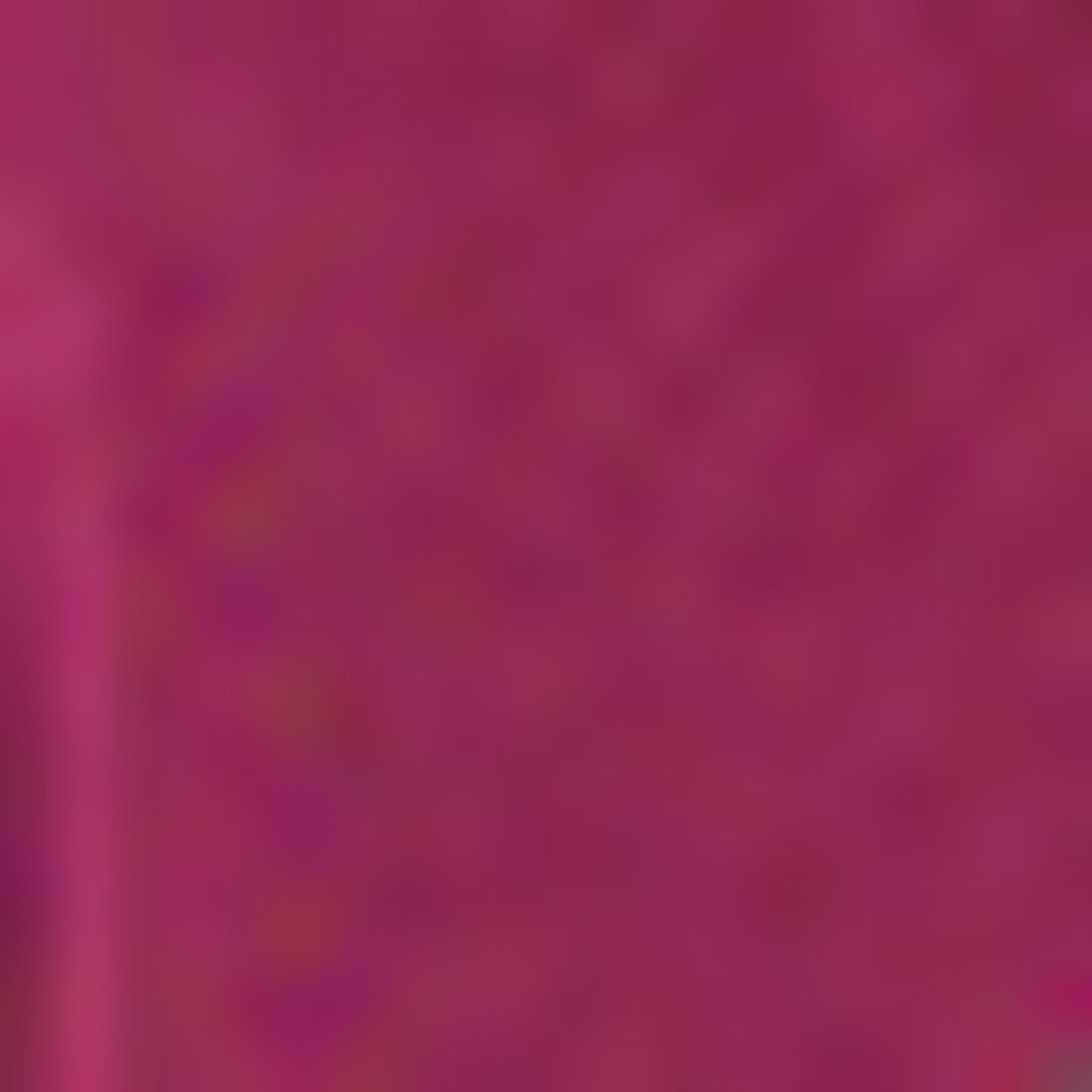 Graphic Print Sweatshirt with Crew Neck and Long Sleeves