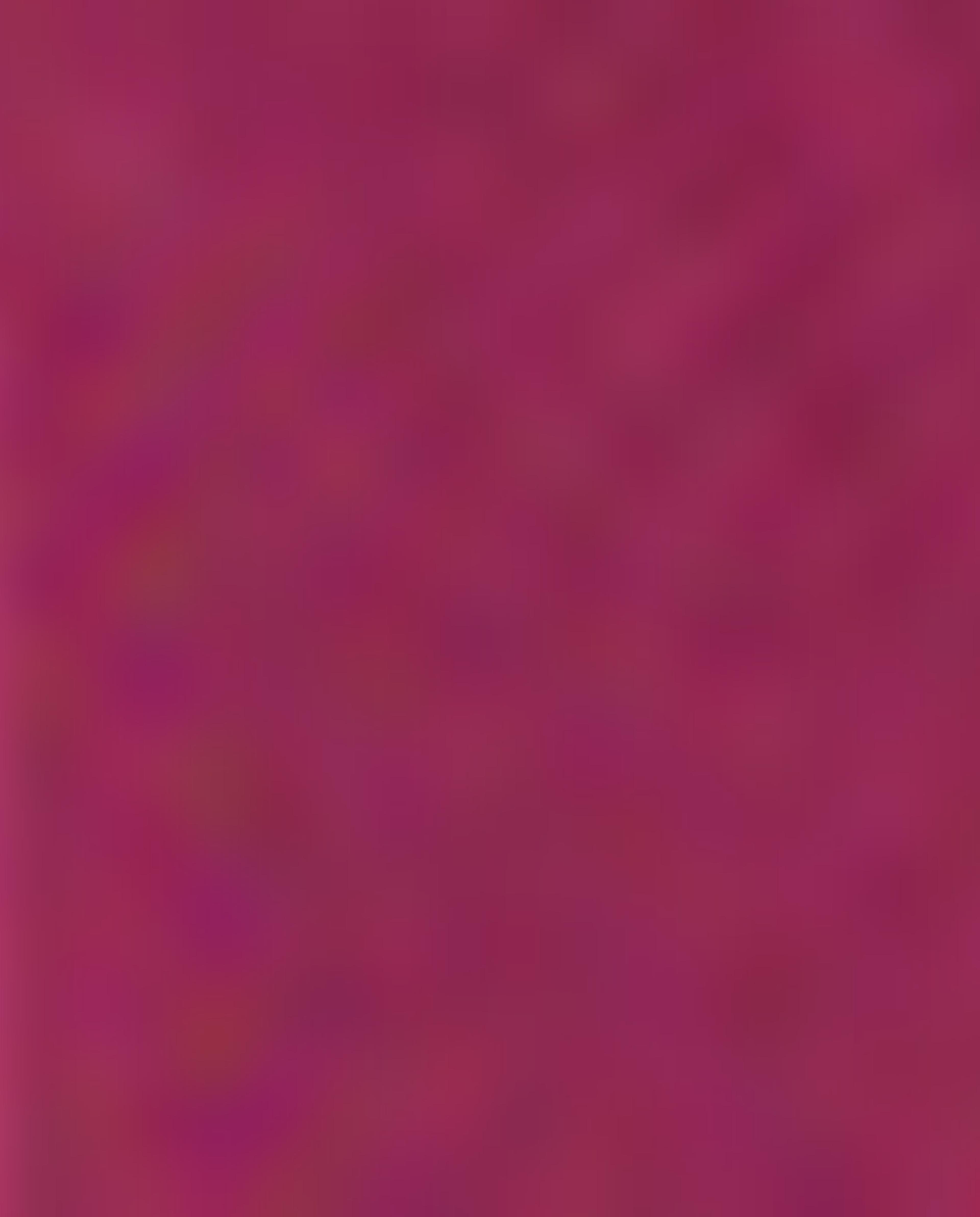 Graphic Print Sweatshirt with Crew Neck and Long Sleeves