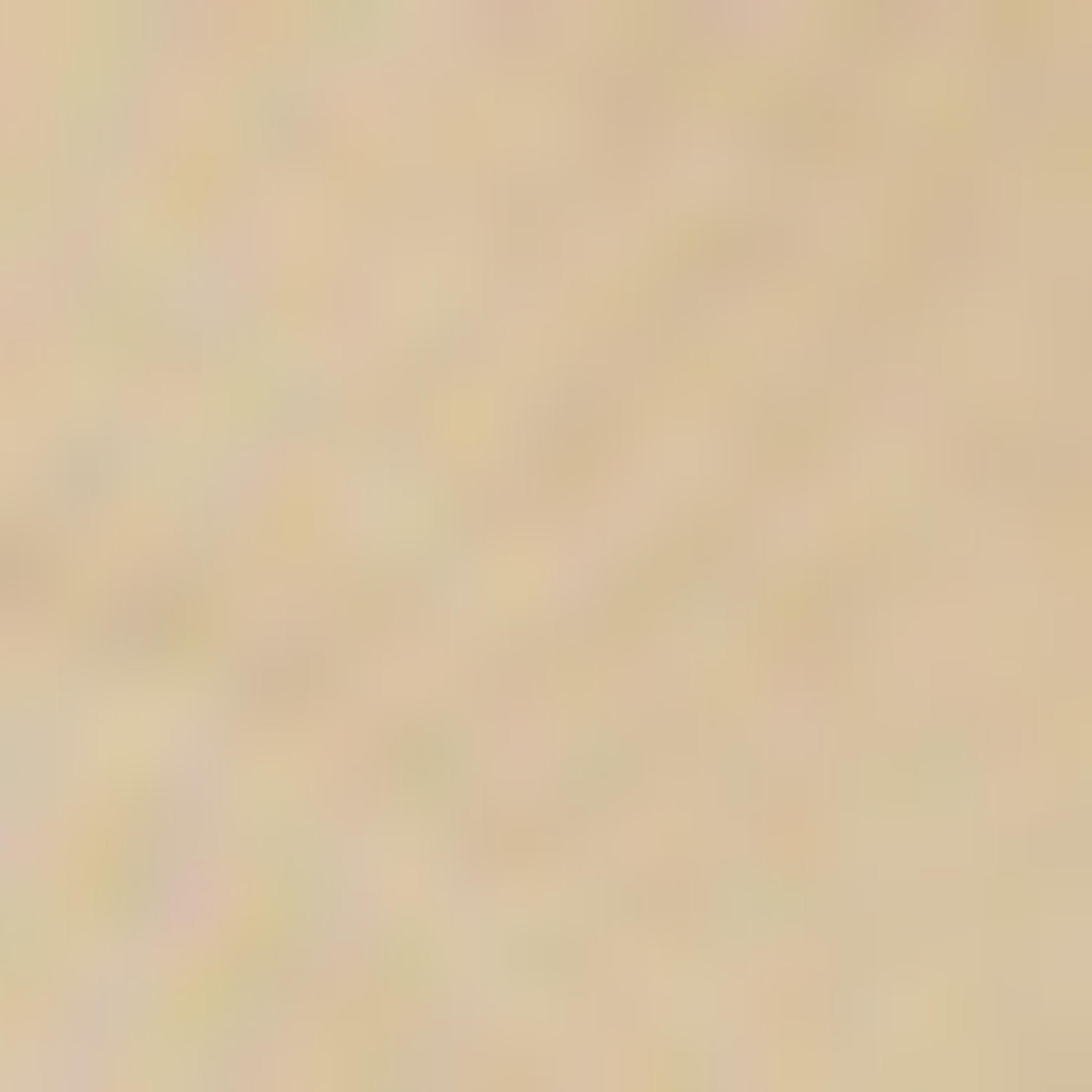 Printed Sweatshirt with Crew Neck and Long Sleeves