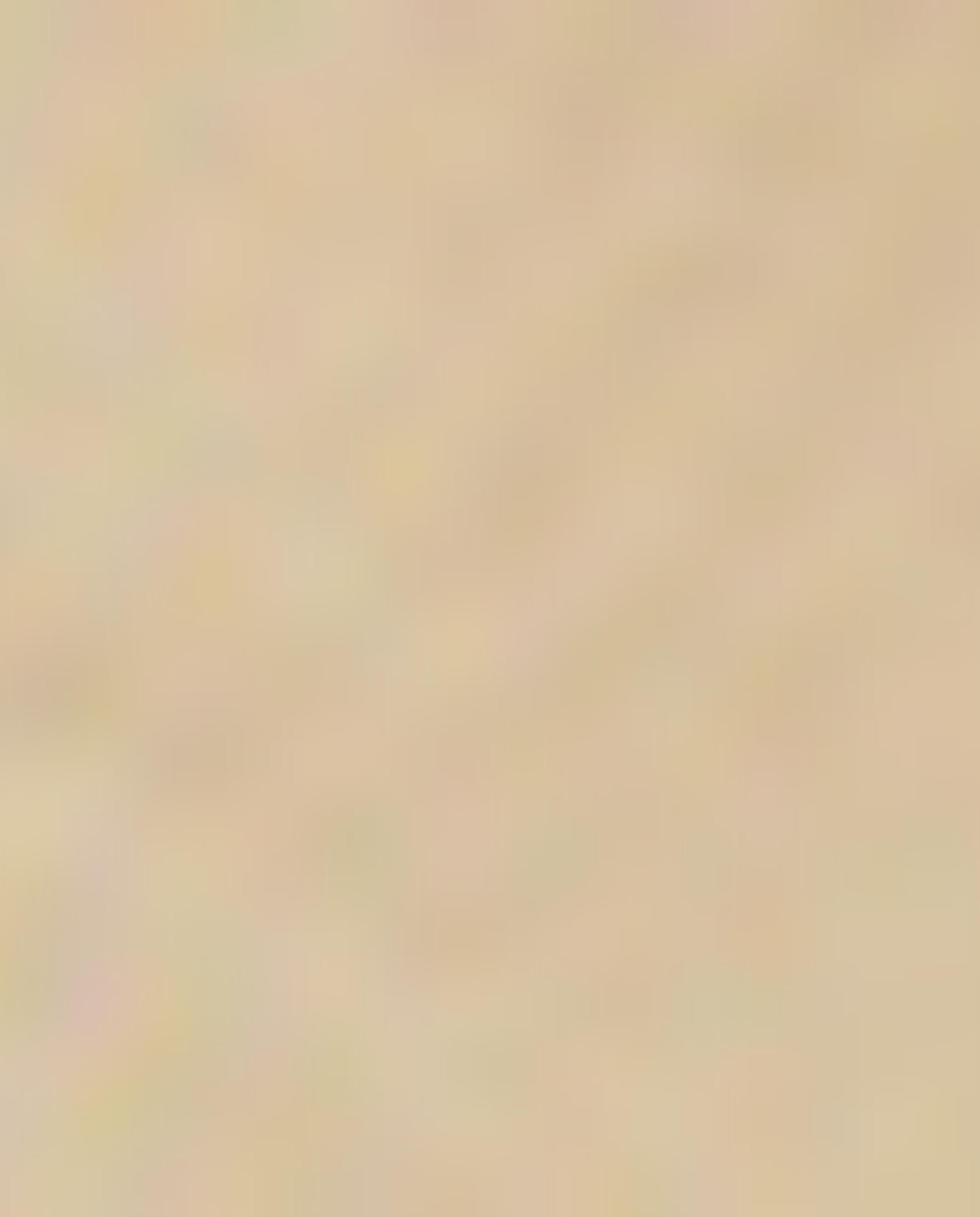 Printed Sweatshirt with Crew Neck and Long Sleeves