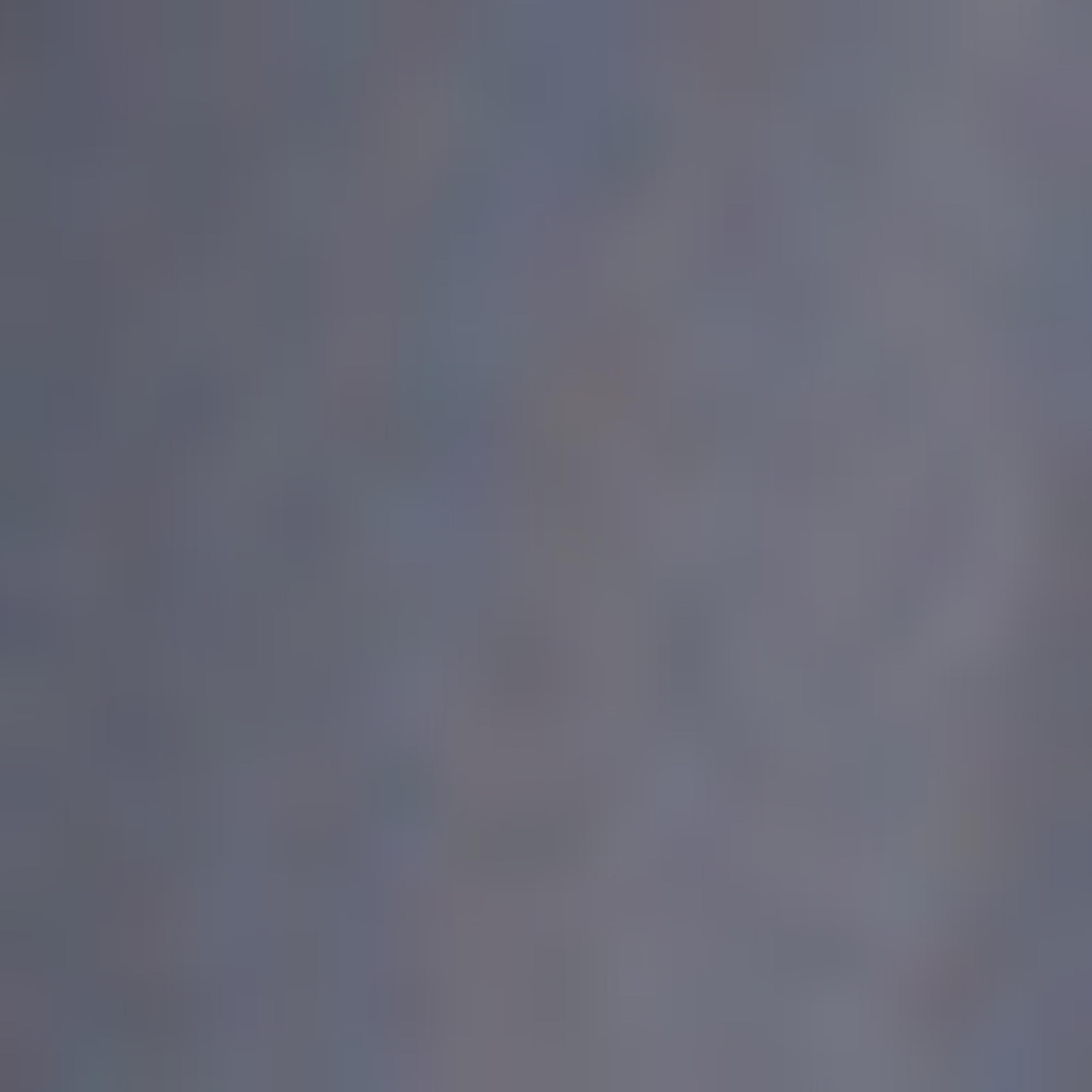 هودي سادة بأكمام طويلة