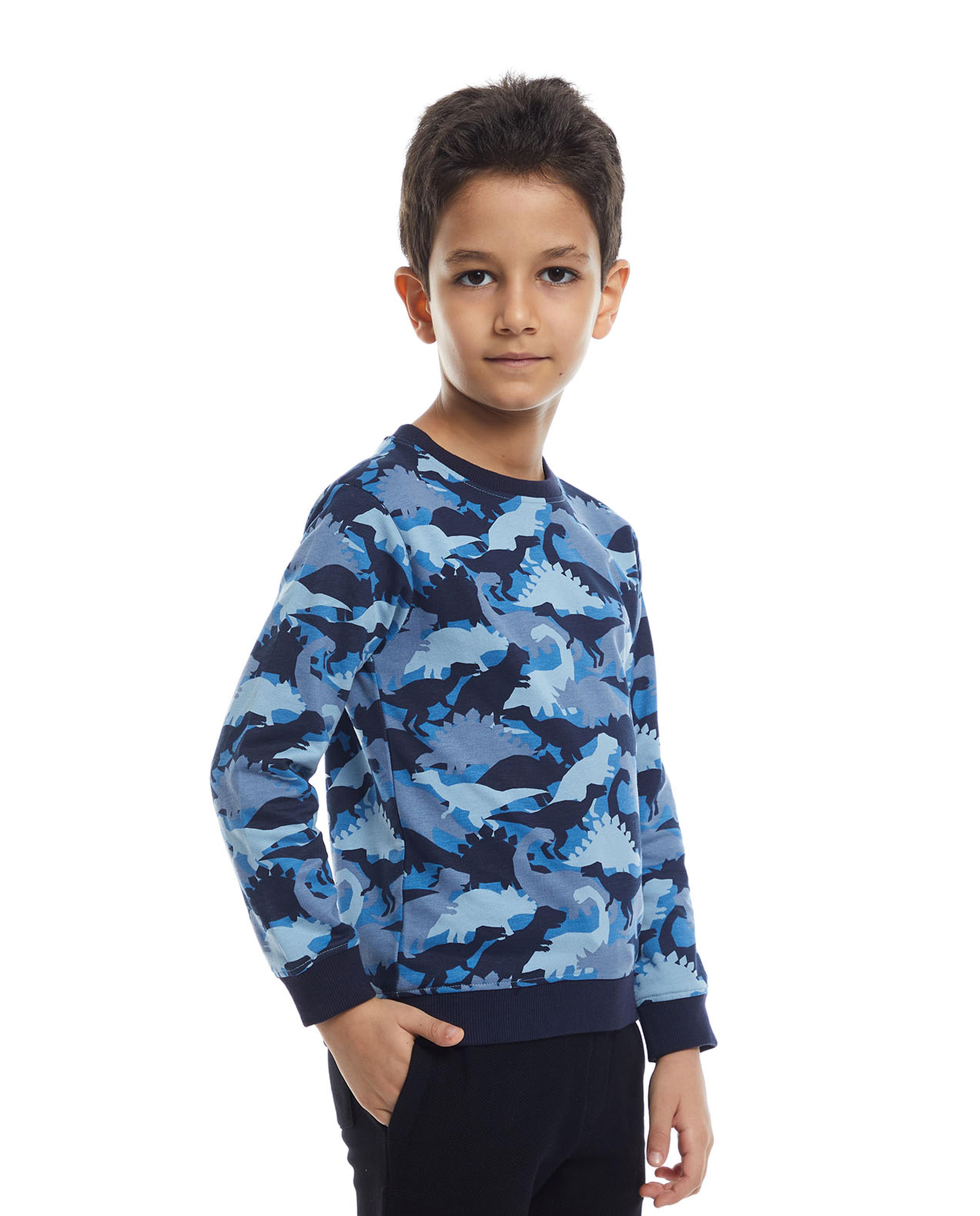 Dino Print Sweatshirt with Crew Neck and Long Sleeves