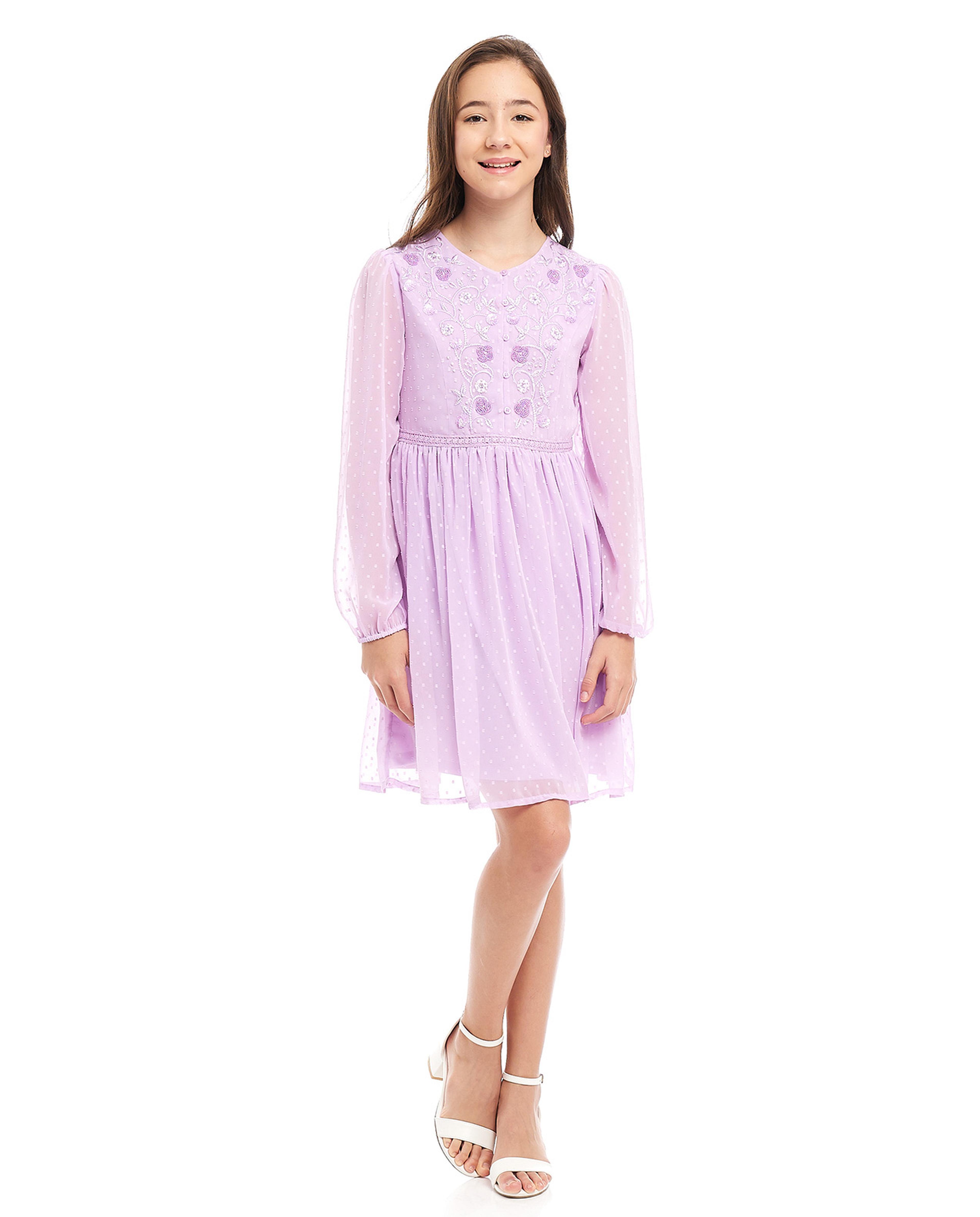 فستان مطرز بأكمام طويلة ورقبة مستديرة