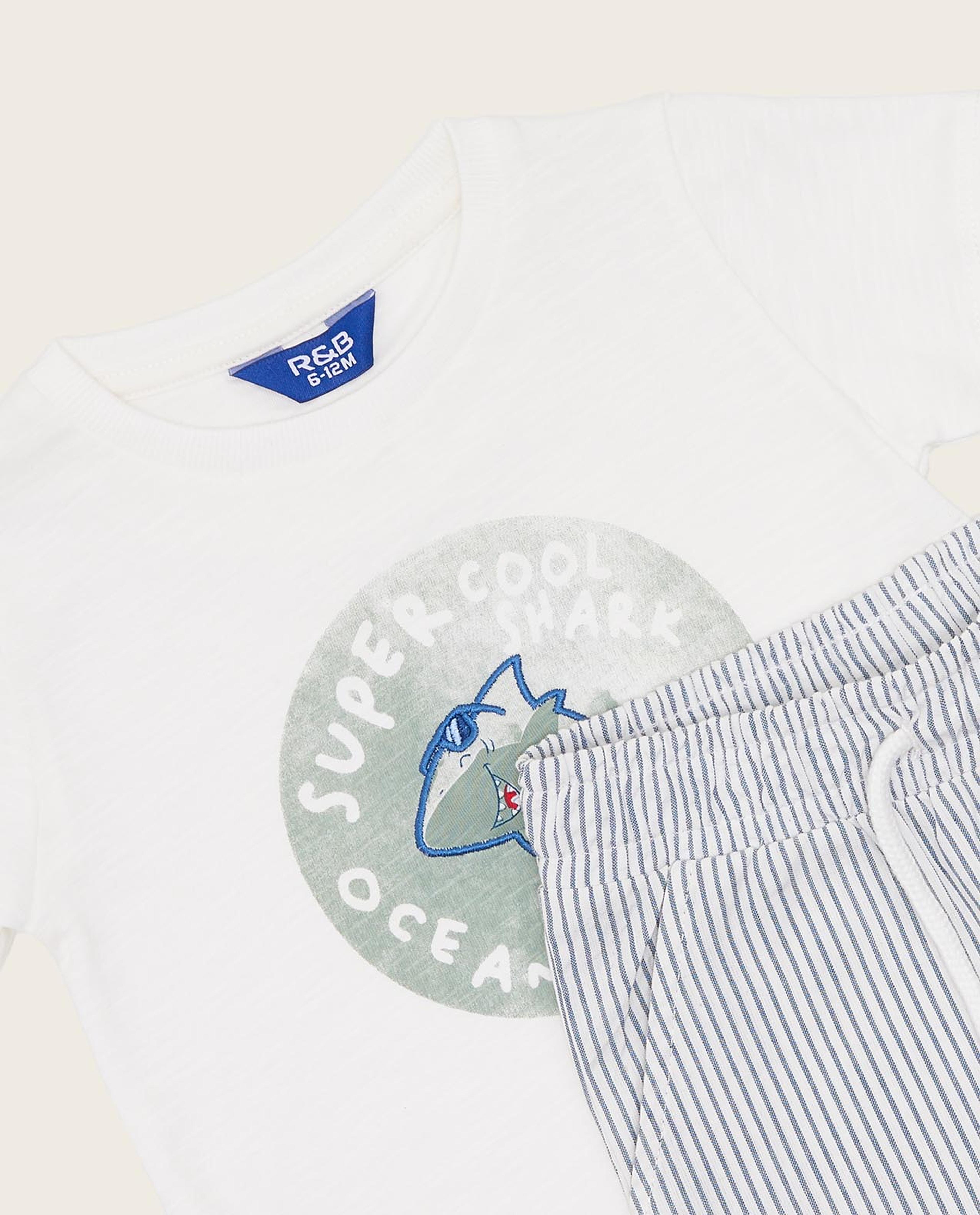 Printed T-Shirt and Shorts Set